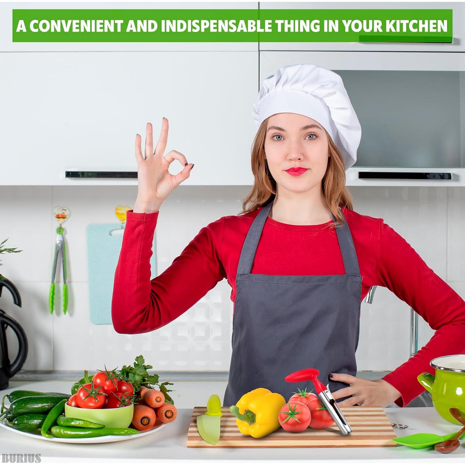 Removedor de Corazón de Manzana BURIUS Acero Inoxidable 18.5 cm