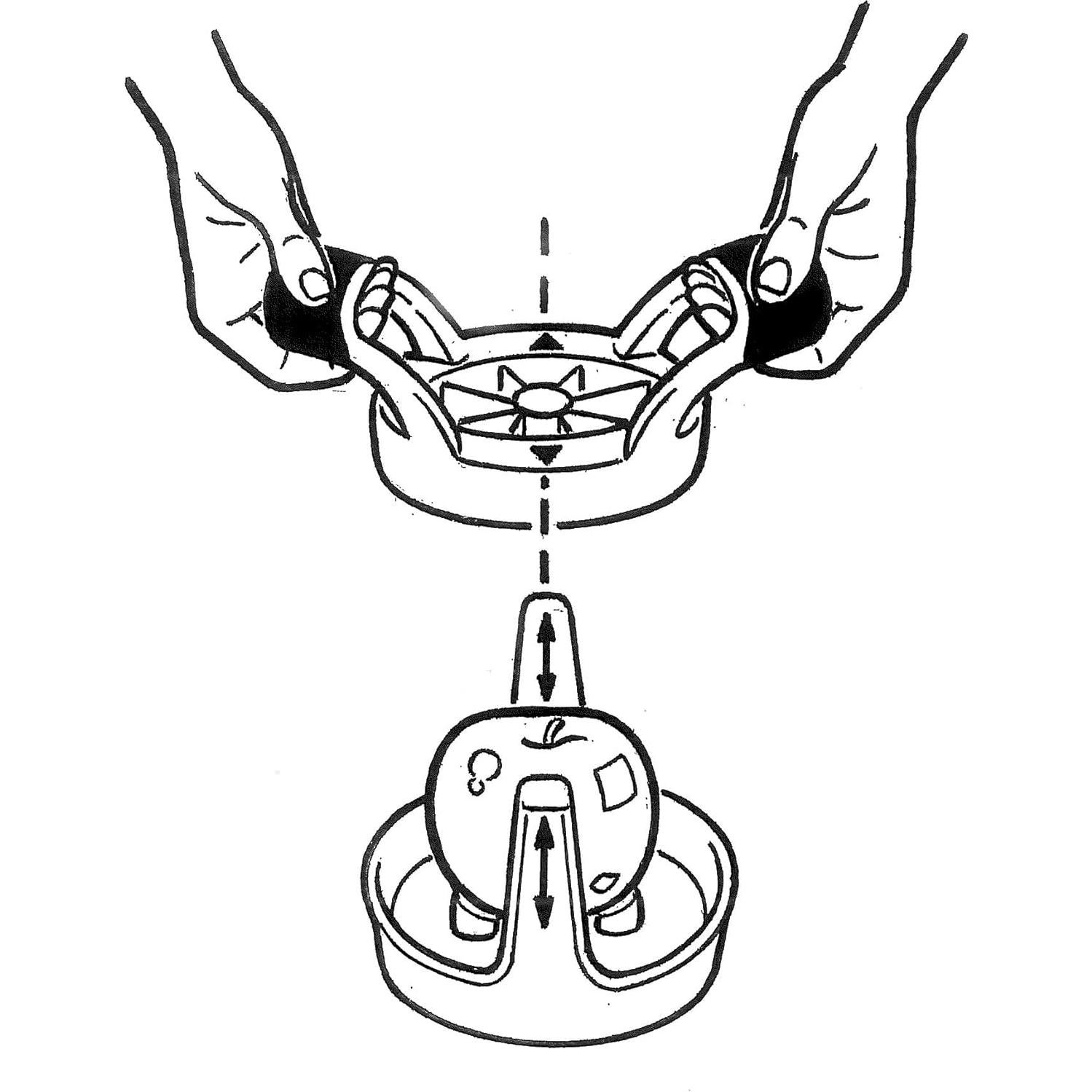 Cortador Descorazonador de Frutas Norpro 5099 8 Secciones