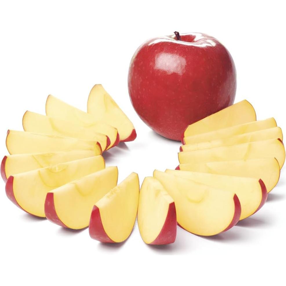 Cortador de Manzanas AMOHEE Acero Inoxidable 12 Cuchillas