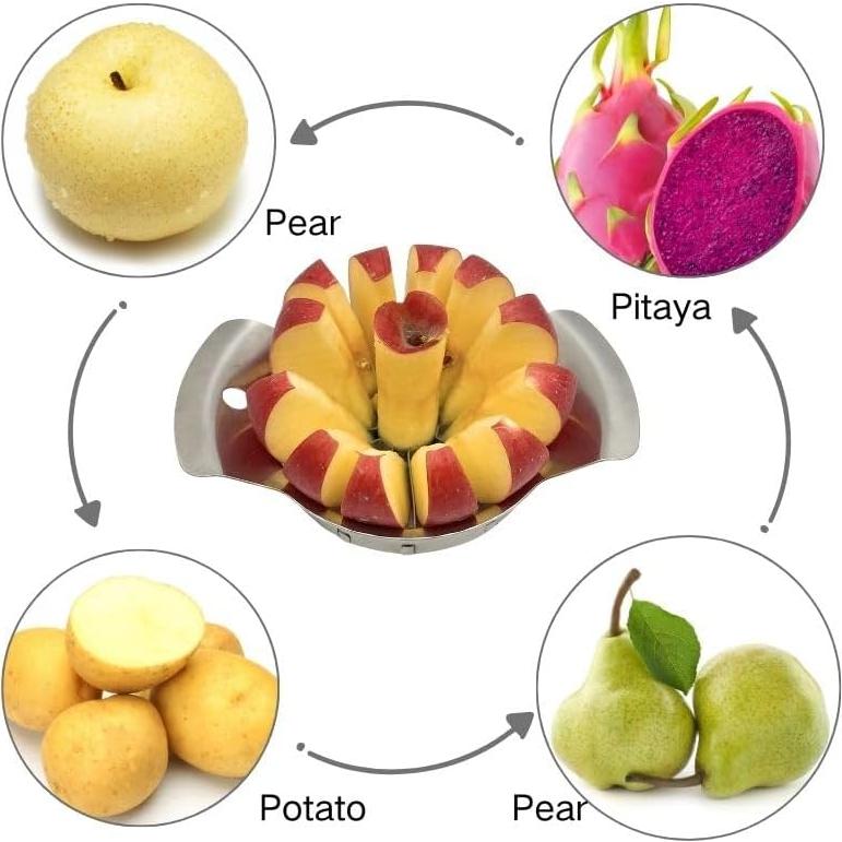 Cortador de Manzanas MASALACO de Acero Inoxidable 12 Rebanadas