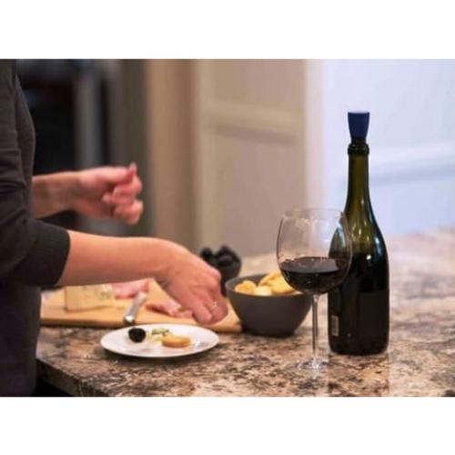 Conservador de Vino Repour 10-Pack - Mantiene Fresco 750 ml