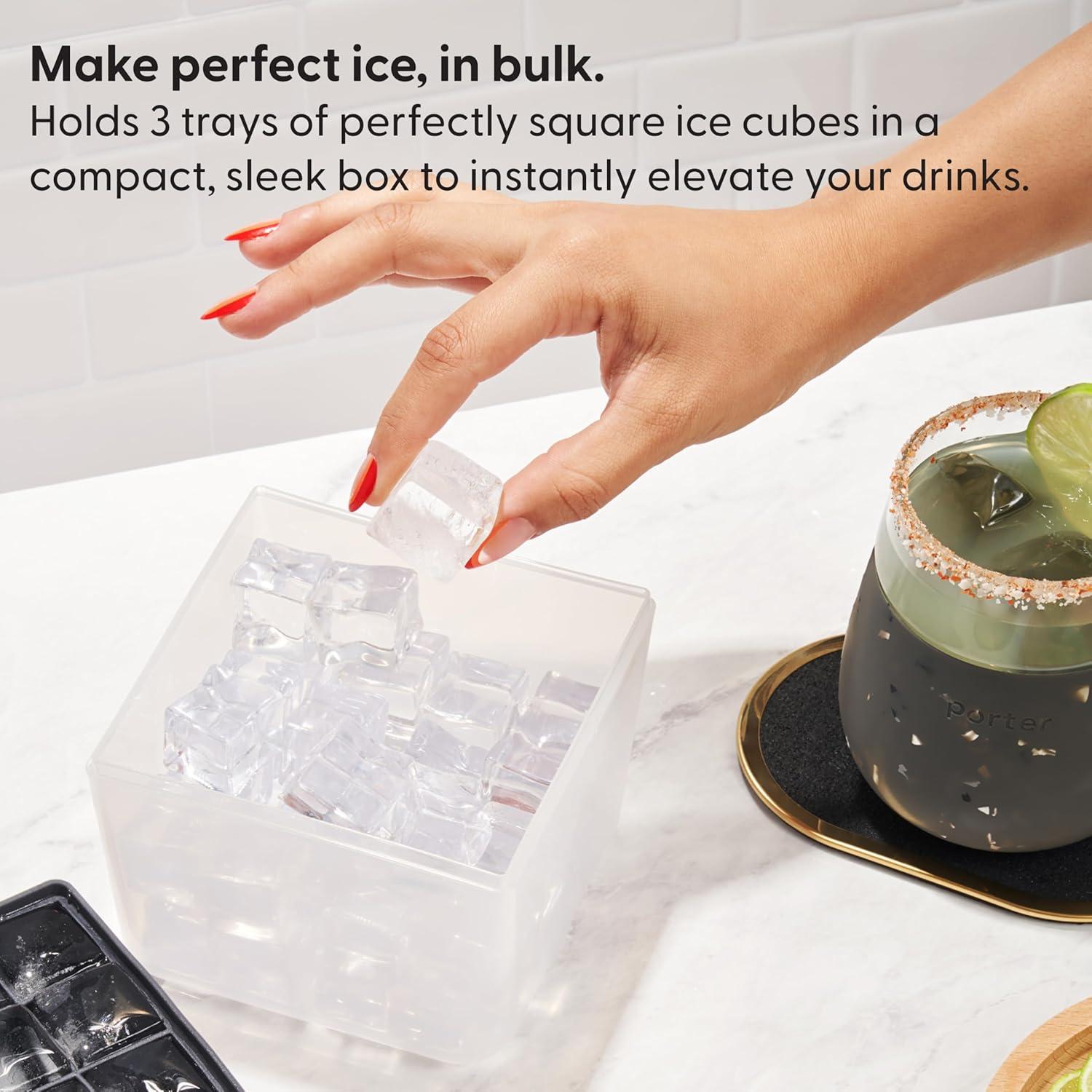 Bandeja de Hielo W&P Mini Ice Box con Tapa - 48 Cubos - Silicona