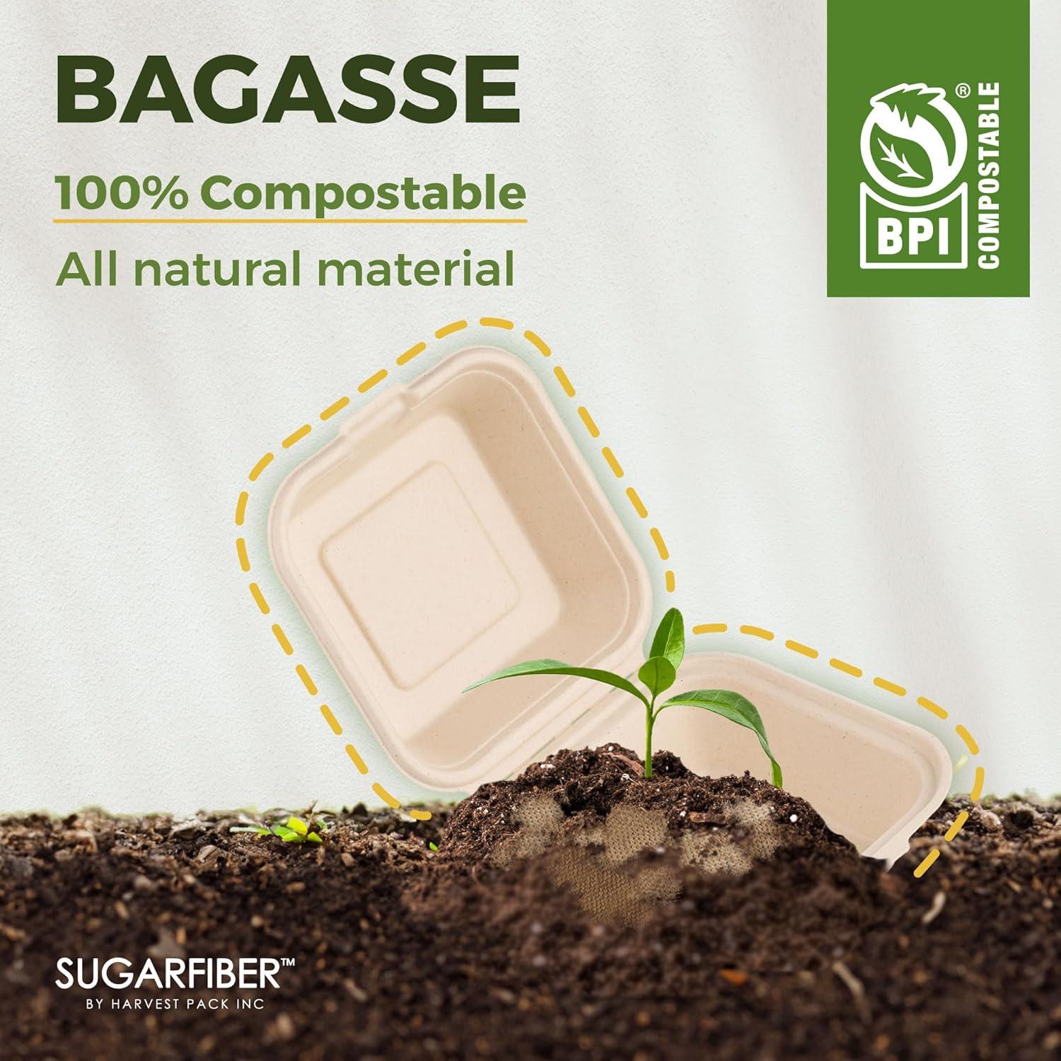 50 Contenedores Cuadrados Compostables Harvest Pack 15.24 cm