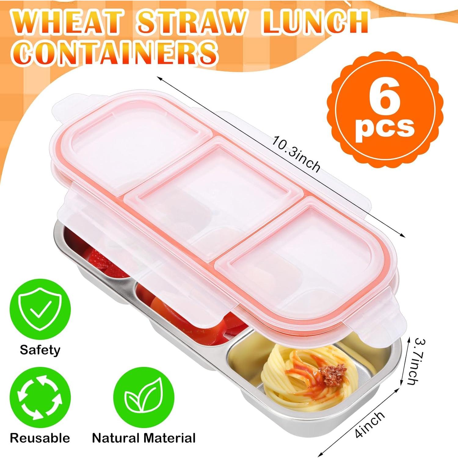 Tioncy 6 Cajas Bento Acero Inoxidable 30 oz (0.85 L) a Prueba de Fugas