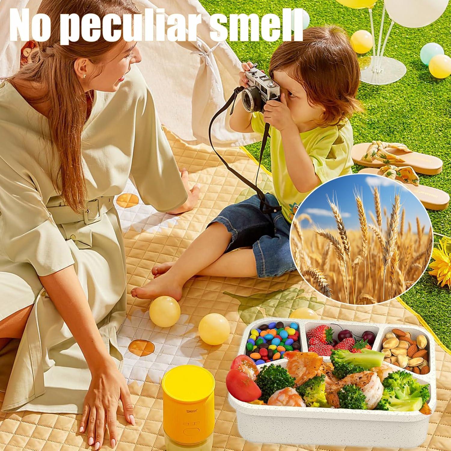 Set de 15 Cajas Bento Aellabus 4 Compartimentos 1000ml