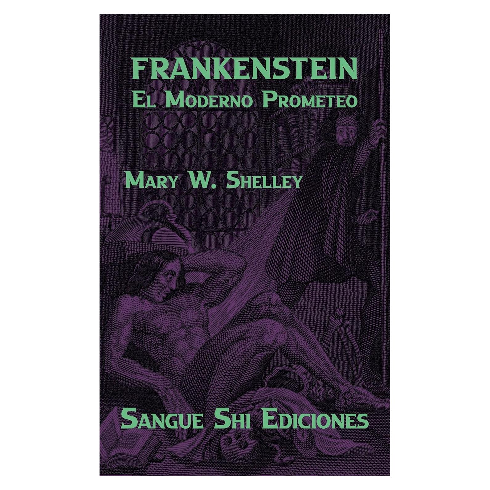Frankenstein Libro Mary Shelley Edición Español 290 Páginas