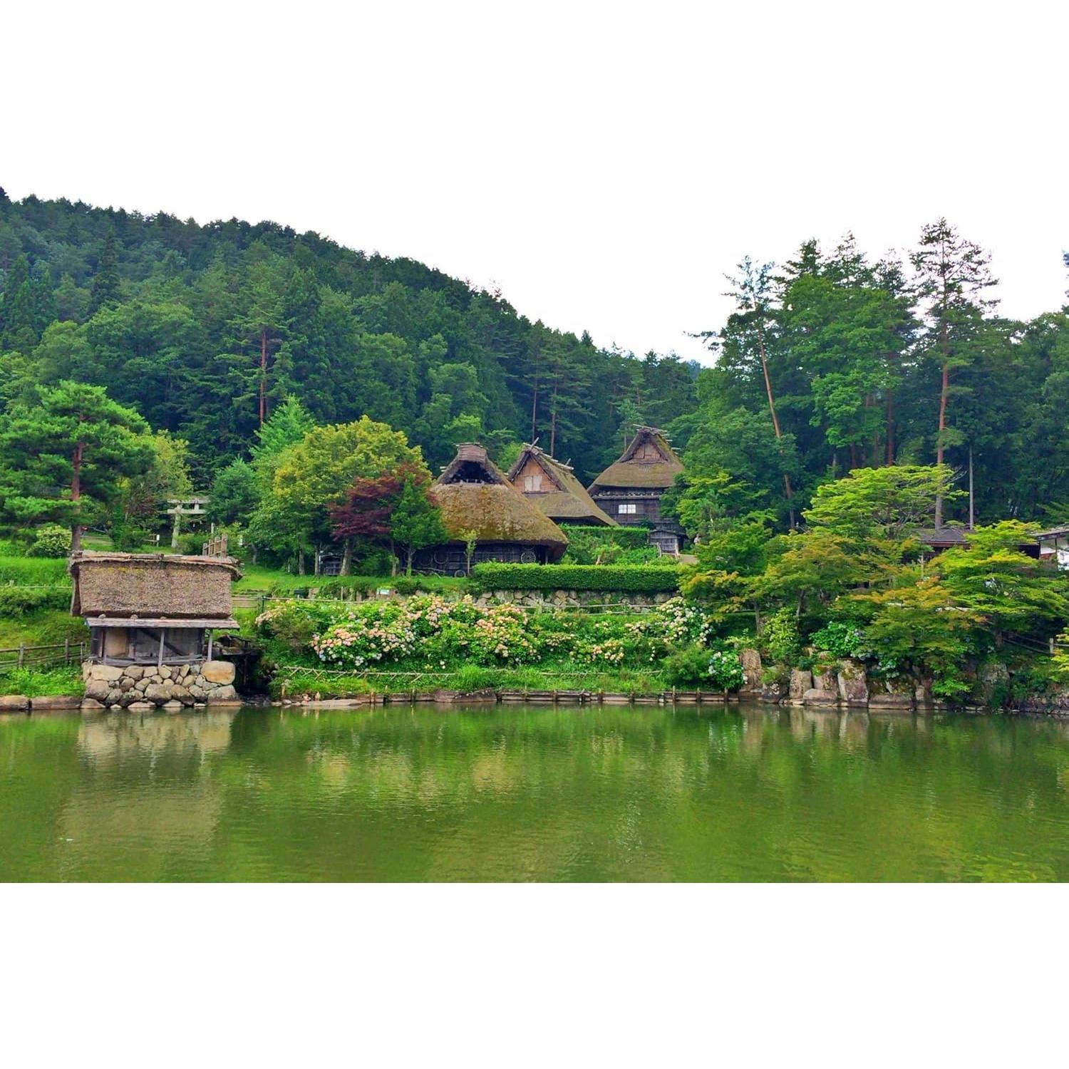 Rallador Japonés MOKKOSU para Wasabi y Jengibre - Pequeño