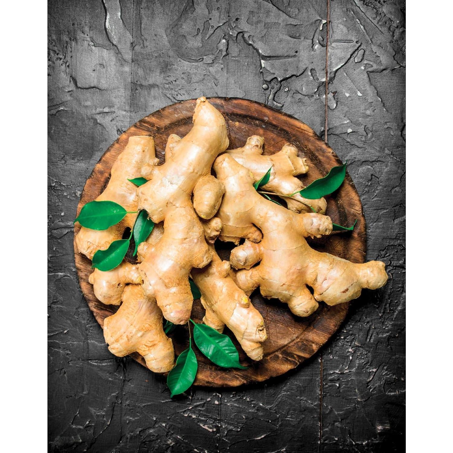 Rallador Mini de Porcelana Helen - Ideal para Jengibre y Queso