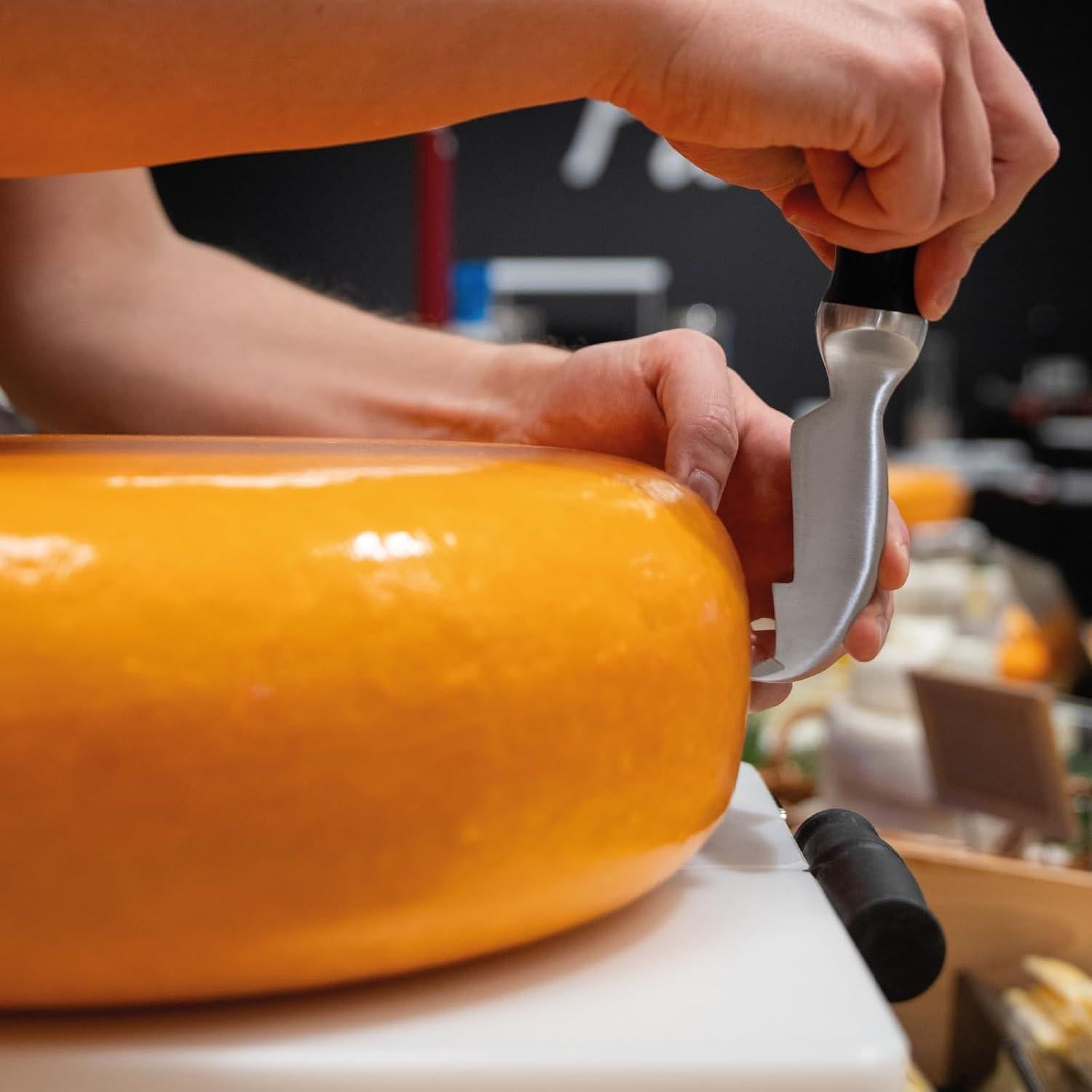 Cuchillo de Marcado de Queso BOSKA Pro 18cm Acero Inoxidable