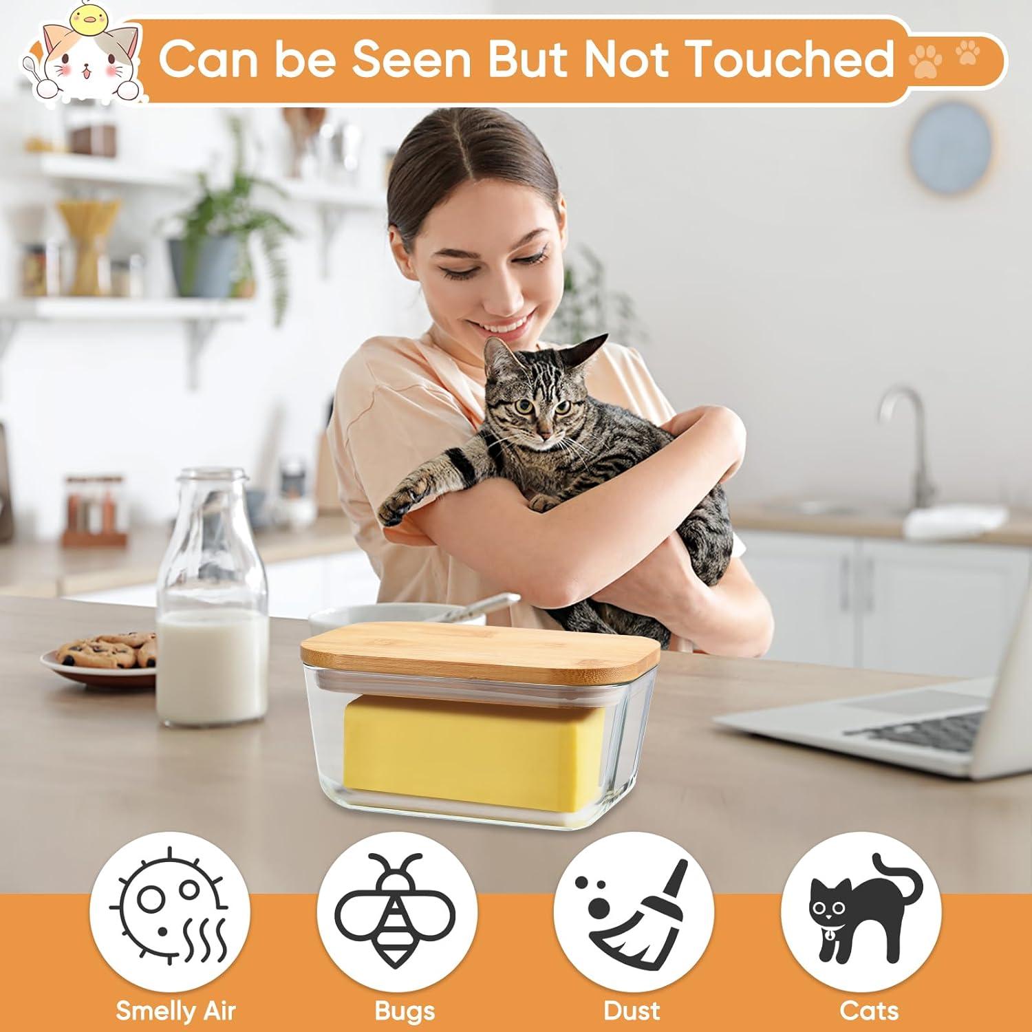 Plato de Mantequilla de Vidrio Hekeieon con Tapa de Bambú 16.5x11.4cm