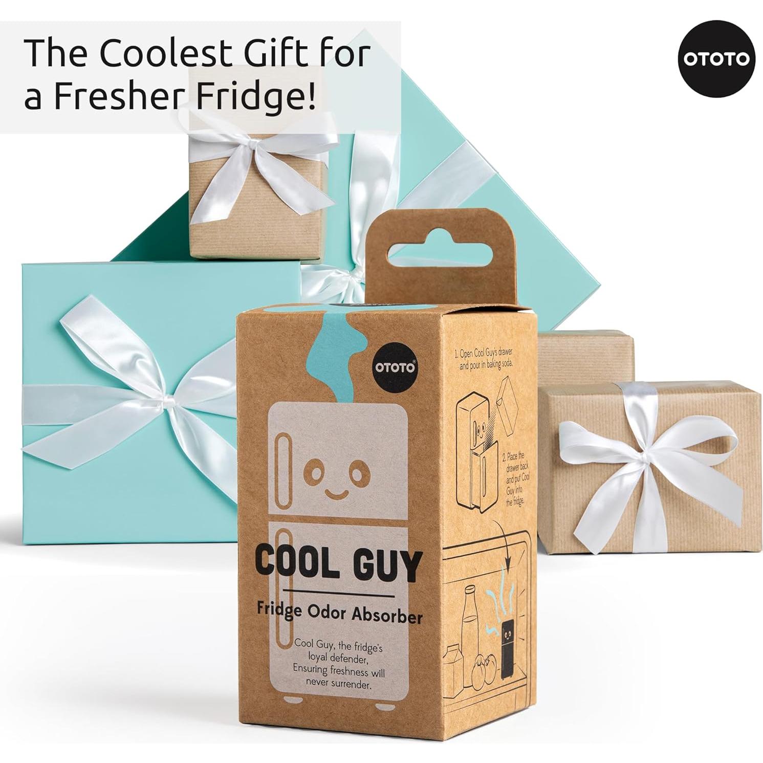 Desodorante de Nevera OTOTO Cool Guy - Absorbente de Olores Bicarbonato