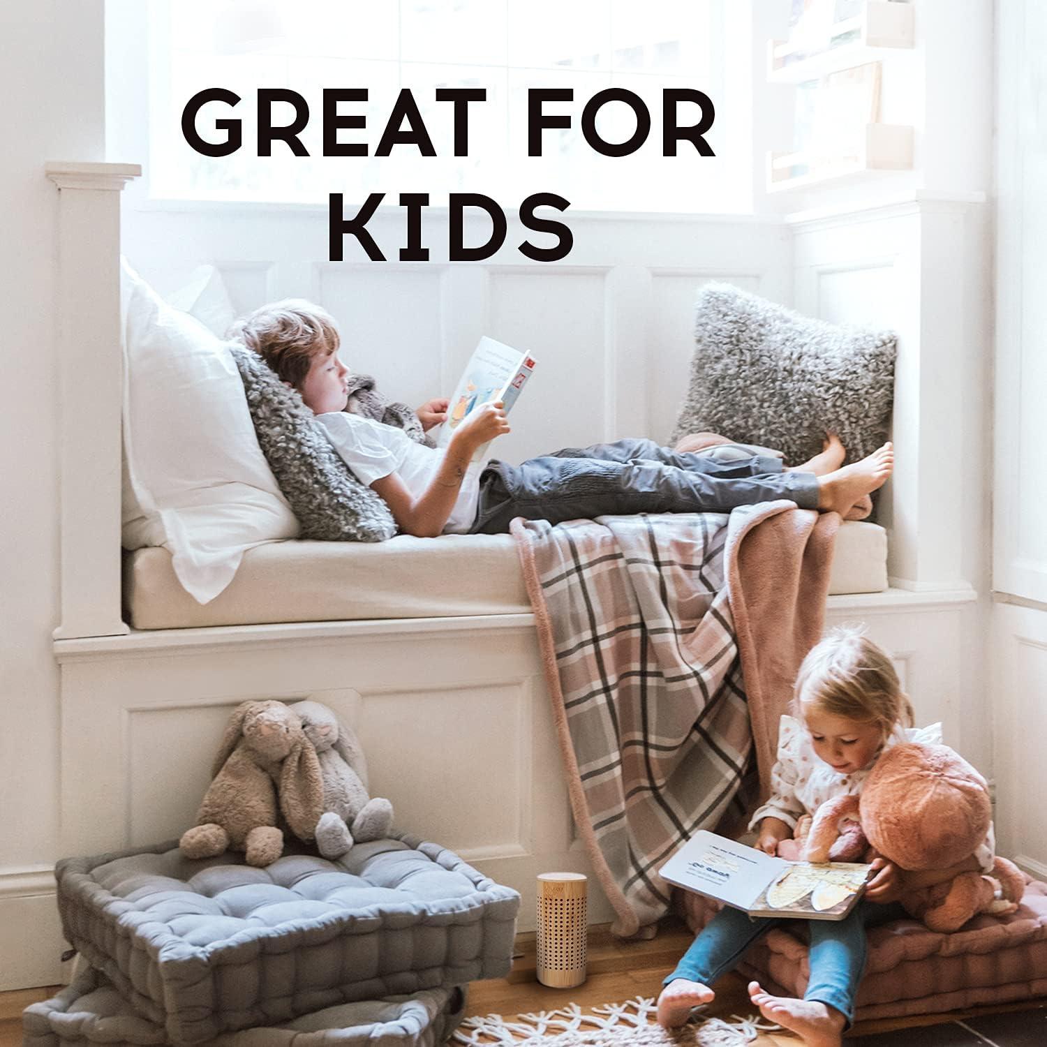 Bolsas de Carbón Activado Apraii - Purificadoras de Aire 425g