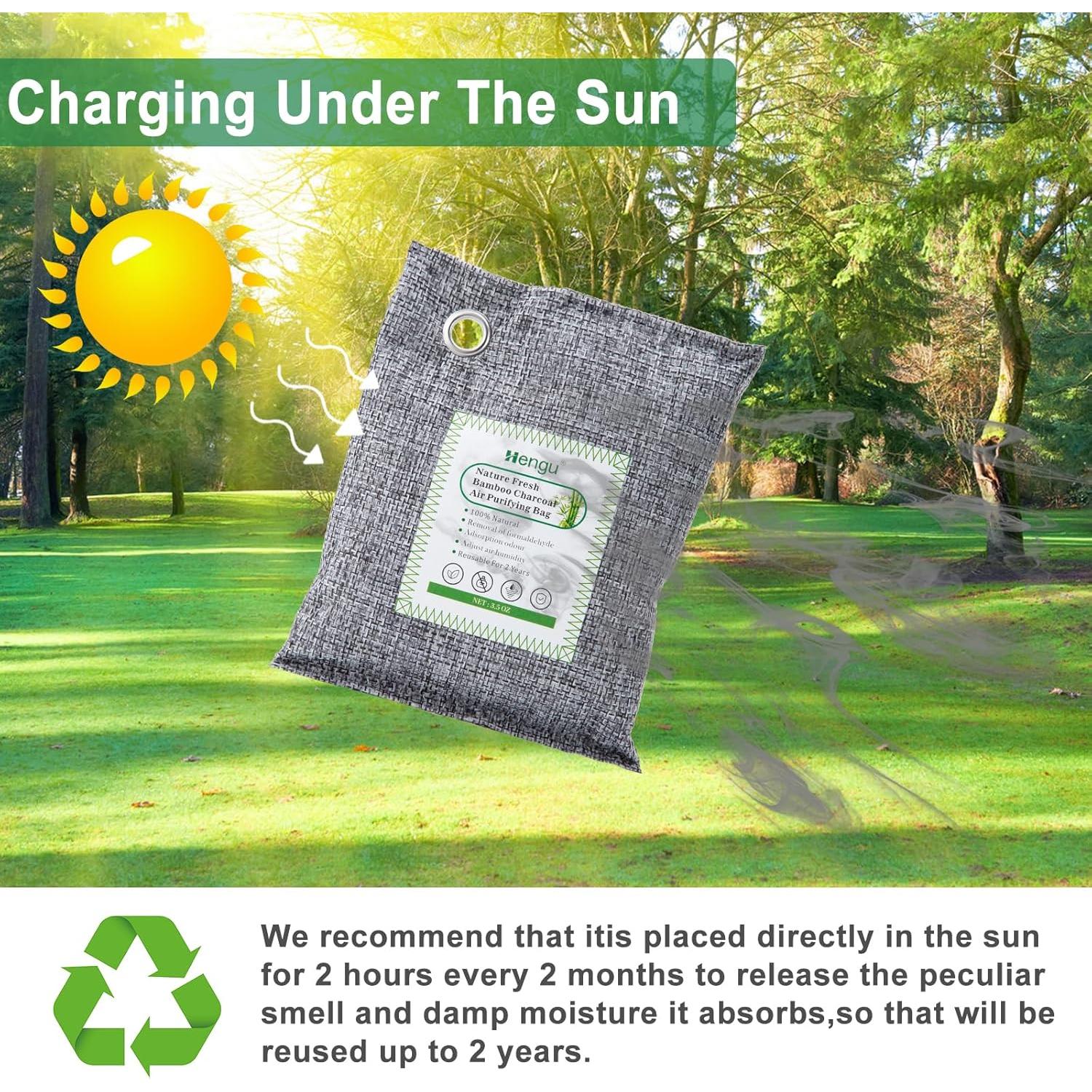 Absorbente de Olores de Carbón Activado Hengu - Paquete de 12, 100g