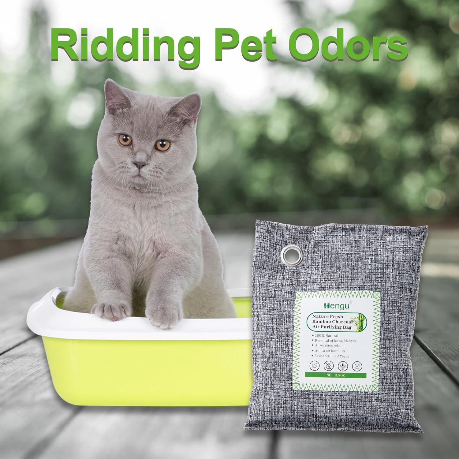 Absorbente de Olores de Carbón Activado Hengu - Paquete de 12, 100g