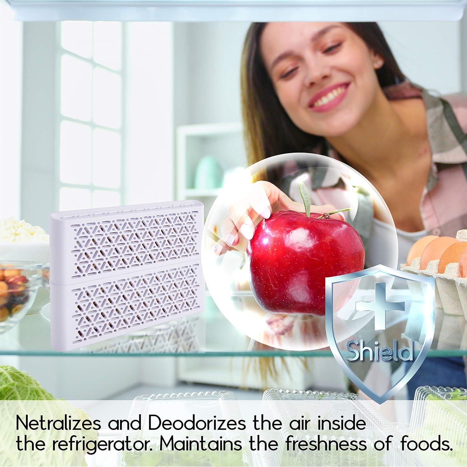 Desodorante de Refrigerador Cosmile DNCR-01 Biocerámicas 249g