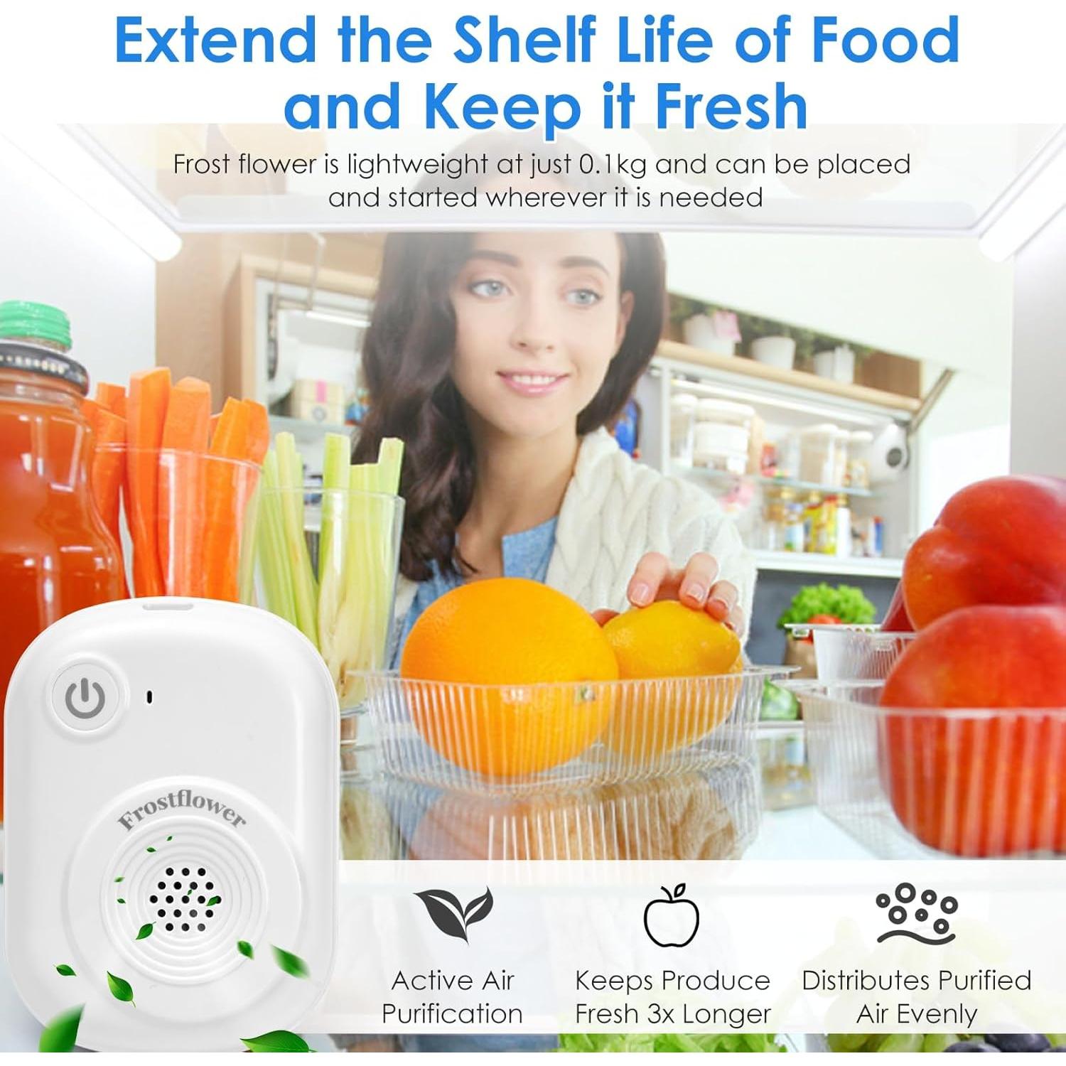 Generador de Ozono Mini Frostfower 20mg/h Purificador de Aire