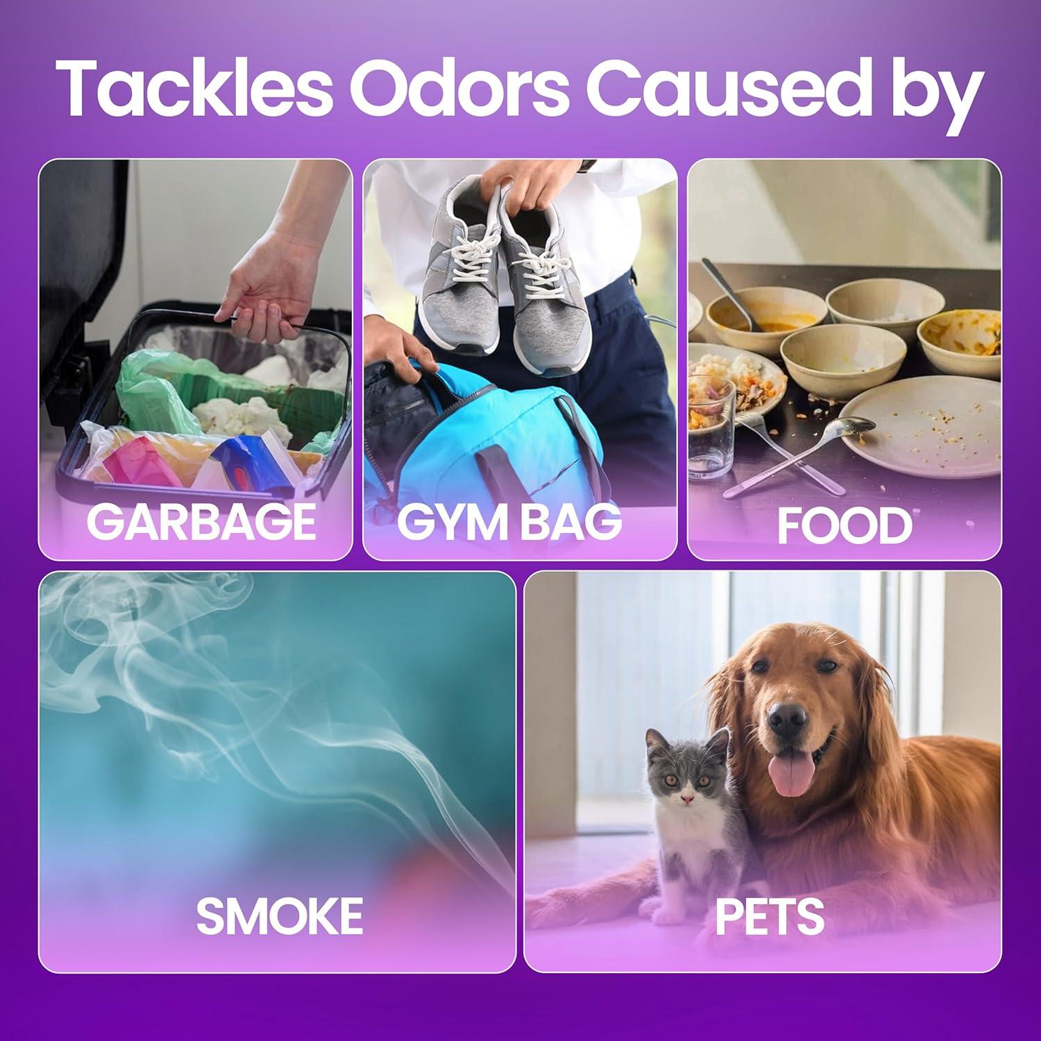 ZORBX Spray Eliminador de Olores Lavanda 24 Oz Multiusos