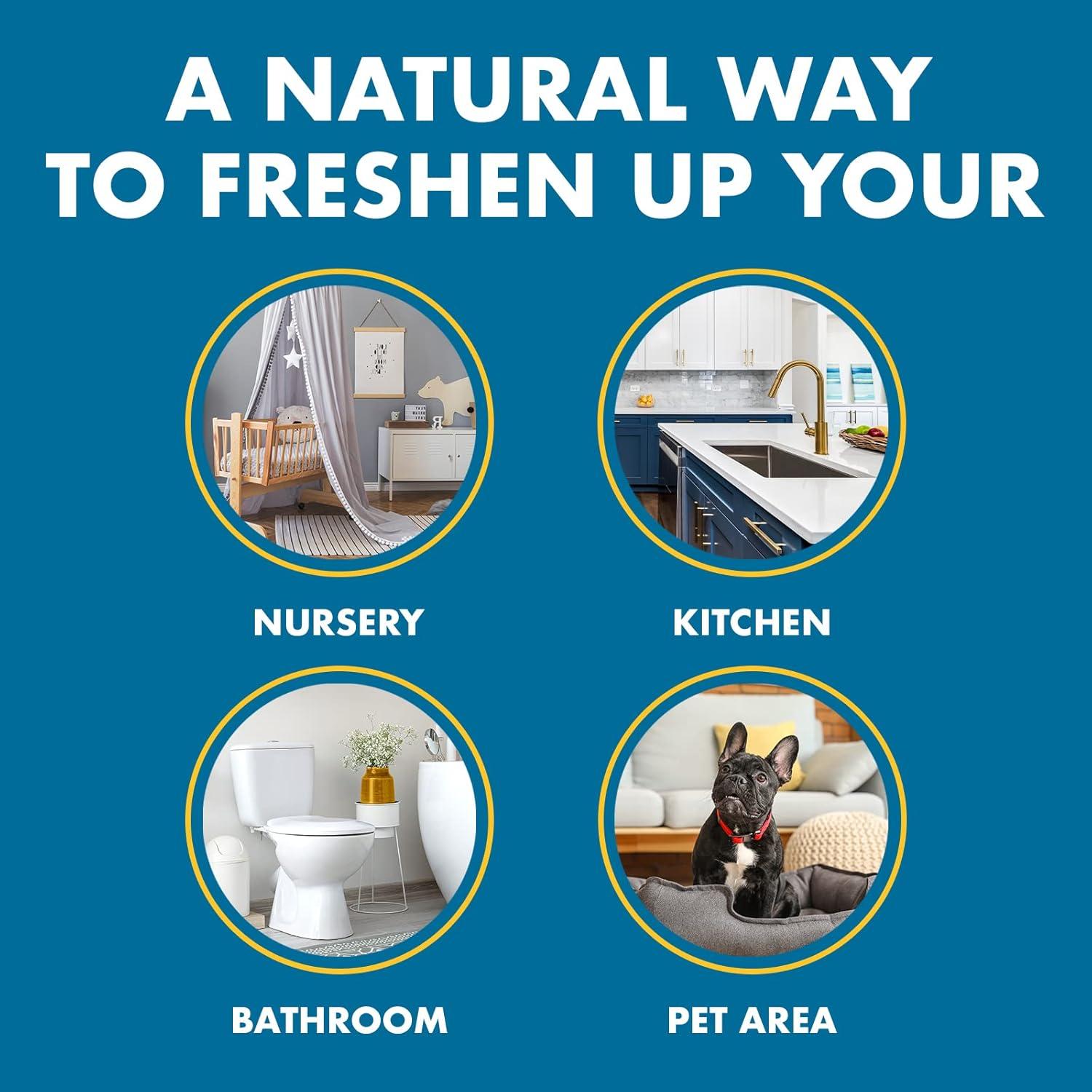 Eliminador de Olores Gonzo Magia Natural - Carbón Activado - 396g (2 Piezas)