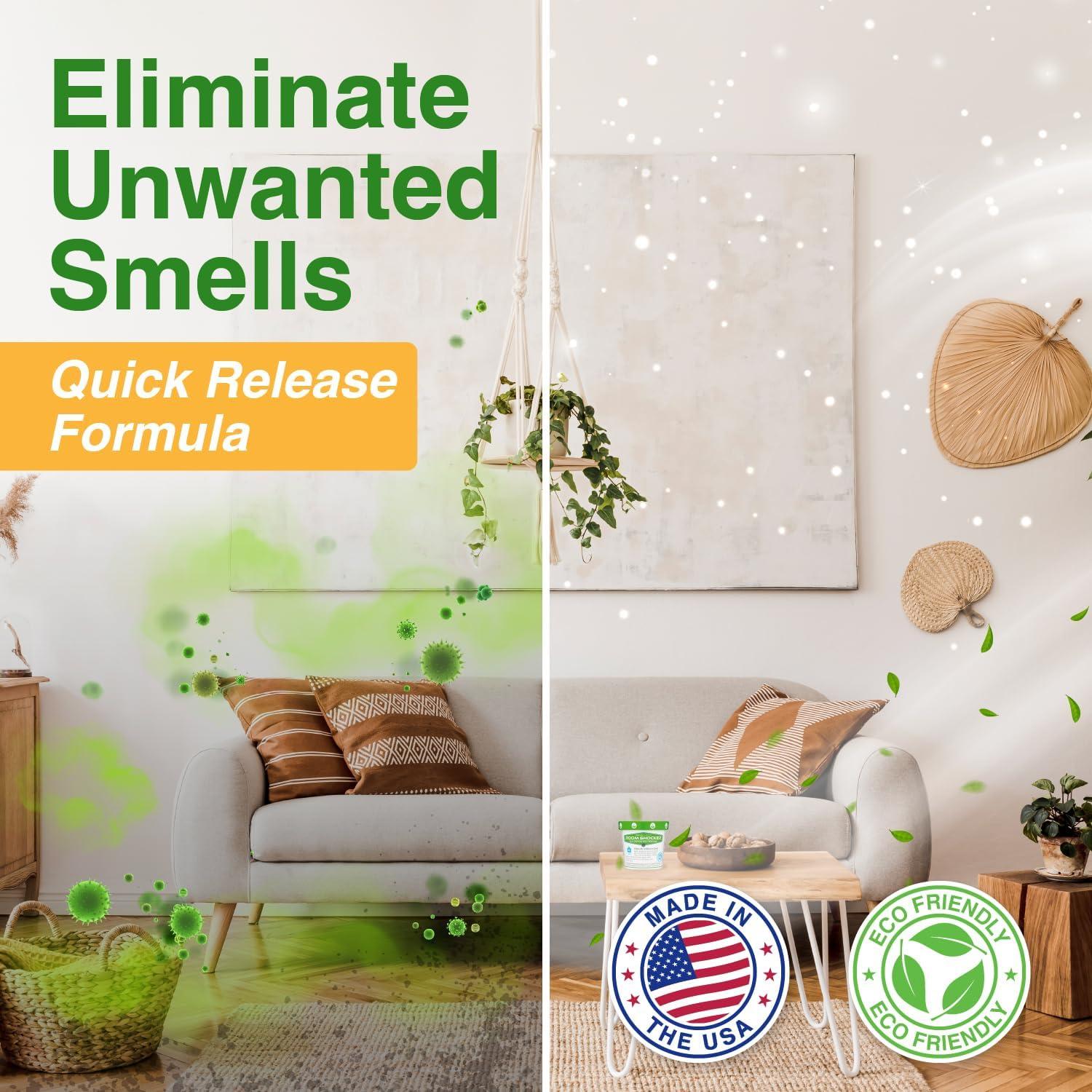 Eliminador de Olores Biocide Systems Room Shocker 45g