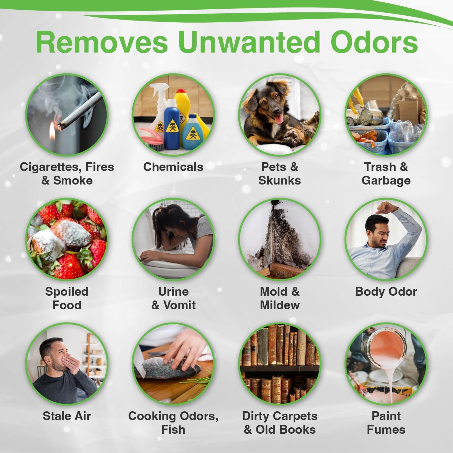 Eliminador de Olores Biocide Systems Room Shocker 45g