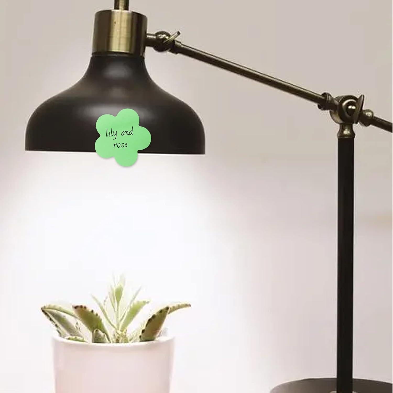 Notas Adhesivas YZDZSW Redondas Coloridas 600 Hojas 7.11 cm