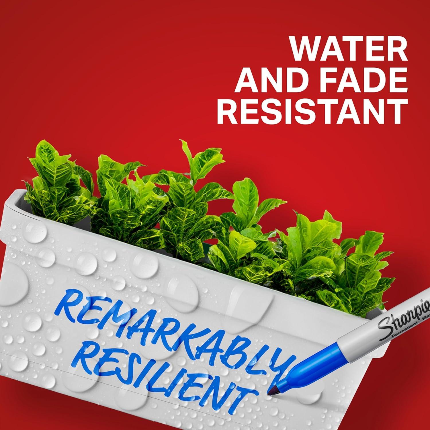 Juego de 12 Marcadores Permanentes Sharpie Punta Fina Colores Variados