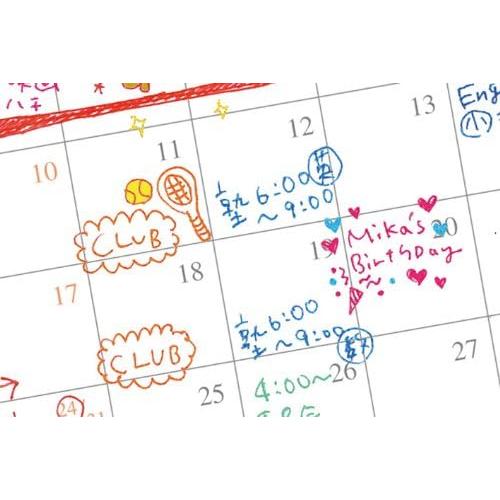 Bolígrafo de Gel Zebra Sarasa Push Clip 0.5 mm Set 10 Colores