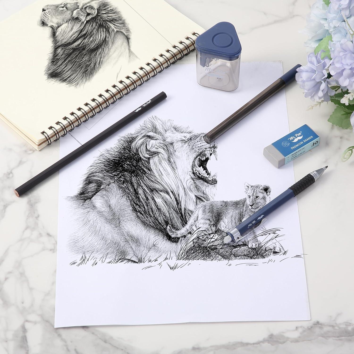 Juego de Lápices Mecánicos Mr. Pen 5 Piezas 2.0mm