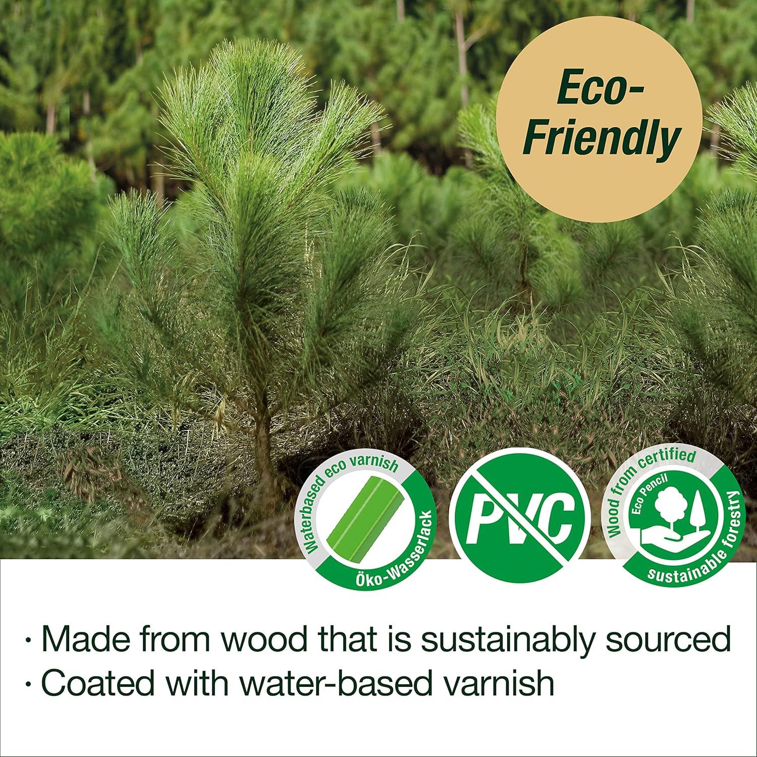 Set de Dibujo Faber-Castell - Lápices Grafito 9000 y Borradores