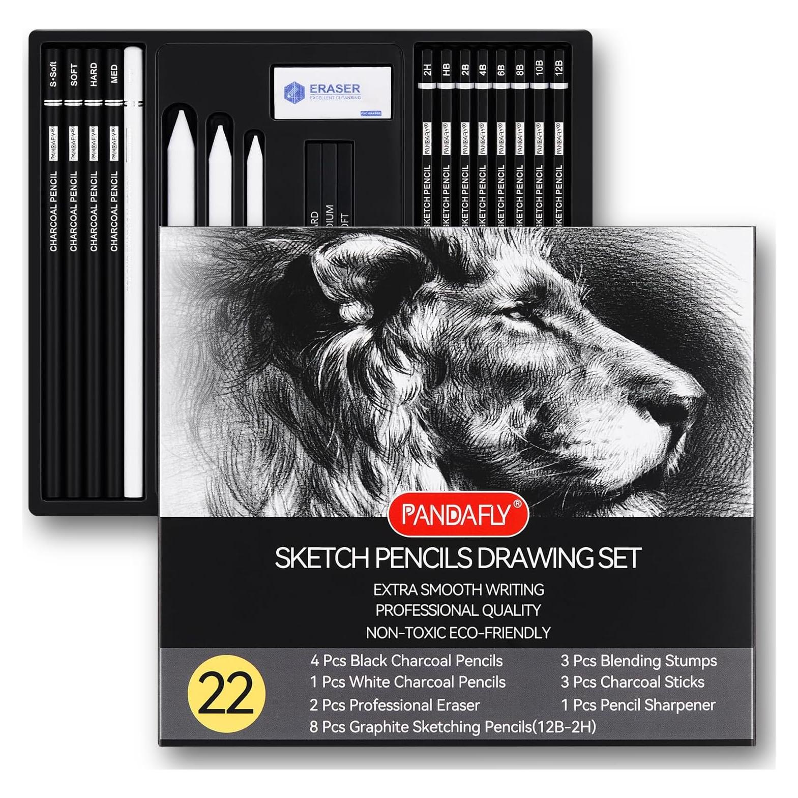 Juego de Lápices de Dibujo Profesional PANDAFLY 22 Piezas