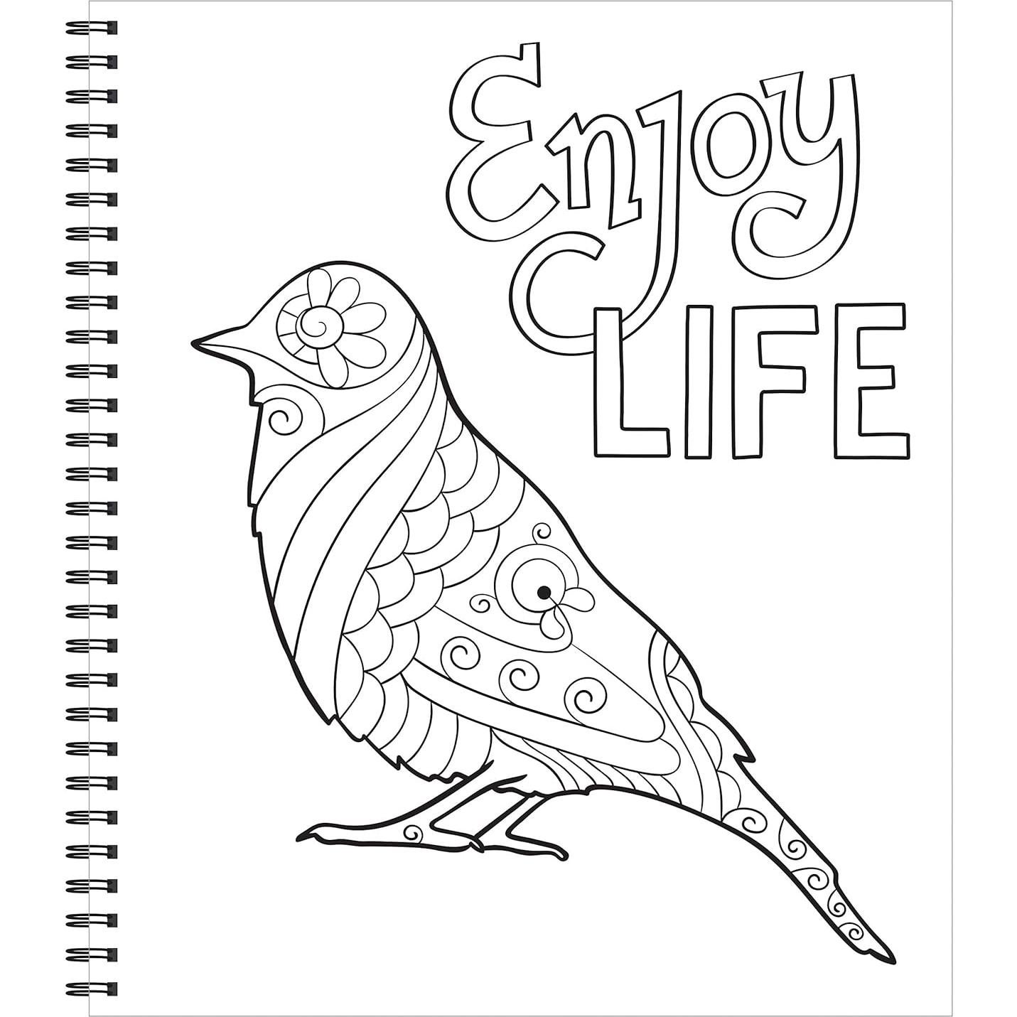 Large Print Easy Color & Frame - Calm (Stress Free Coloring Book)