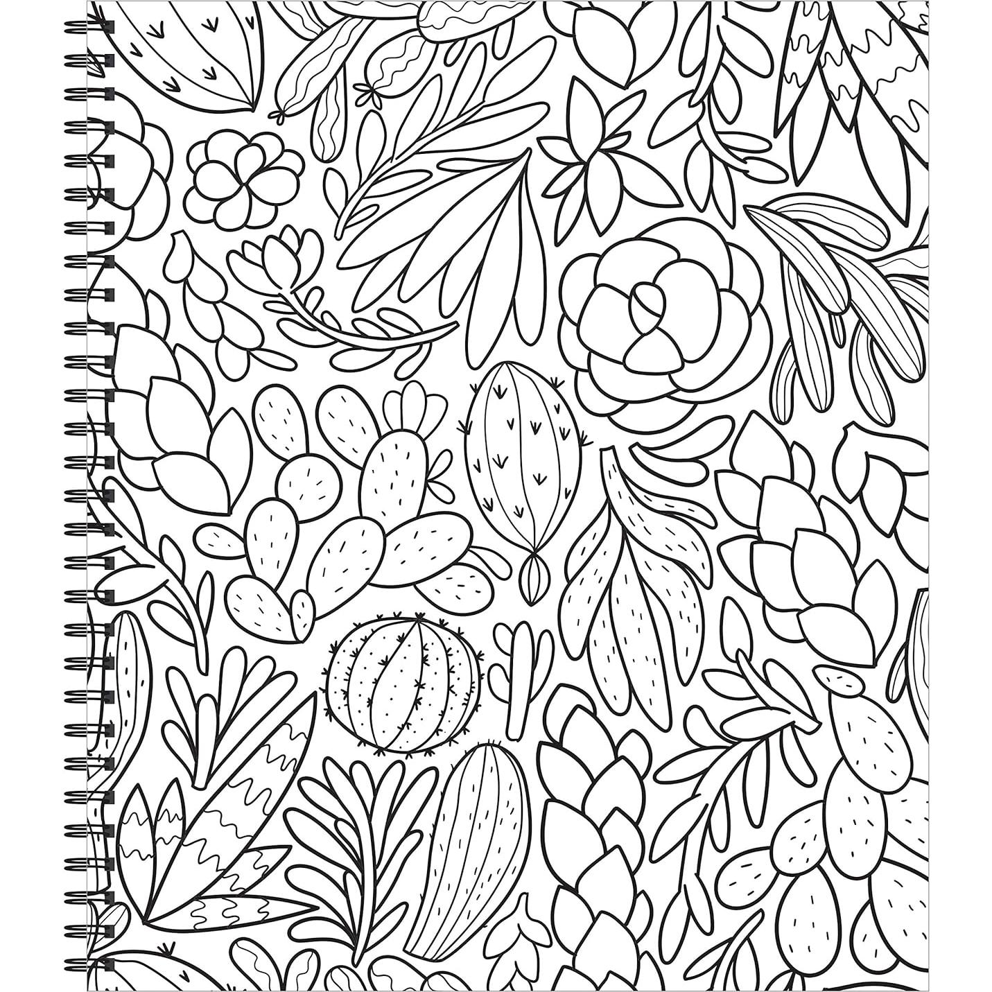 Large Print Easy Color & Frame - Stress Free (Adult Coloring Book)