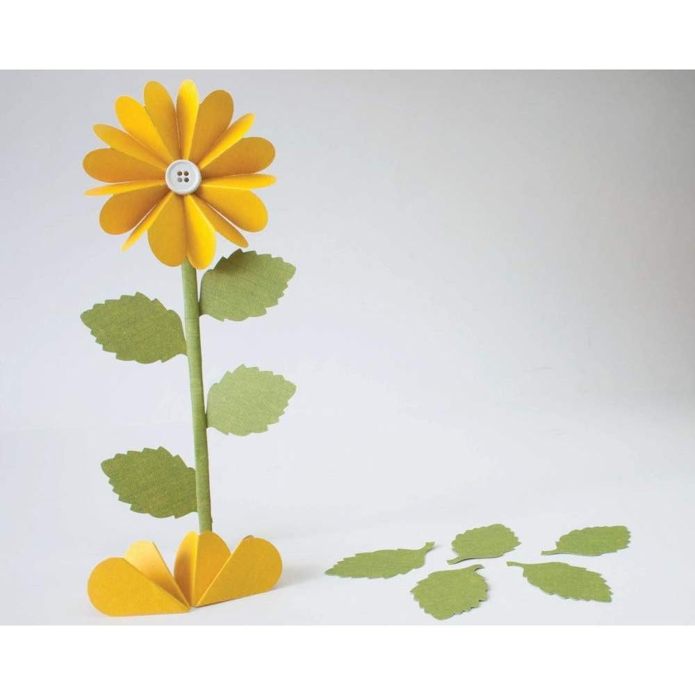 Perforadora Manual Punch Bunch SL4-BIRCH 56x31mm