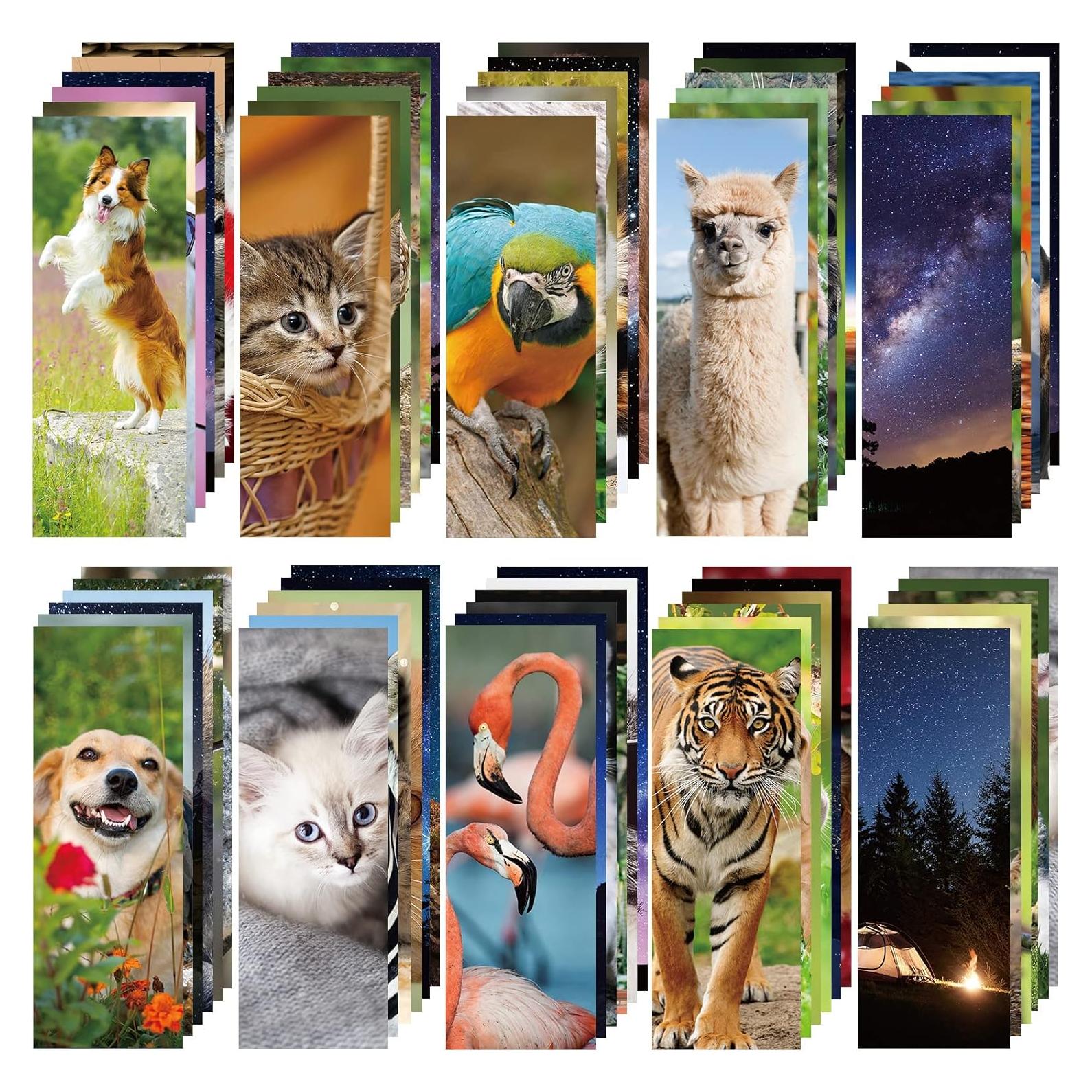 Set de 120 Marcadores Chinco para Lectura Animal Vivo