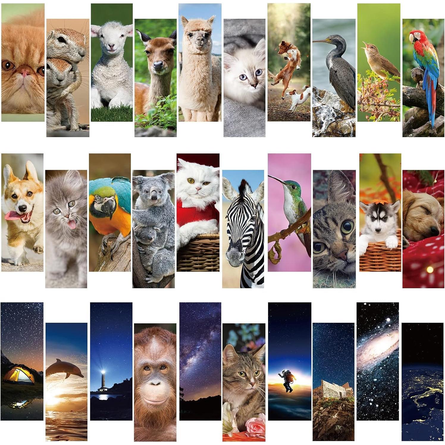 Set de 120 Marcadores Chinco para Lectura Animal Vivo