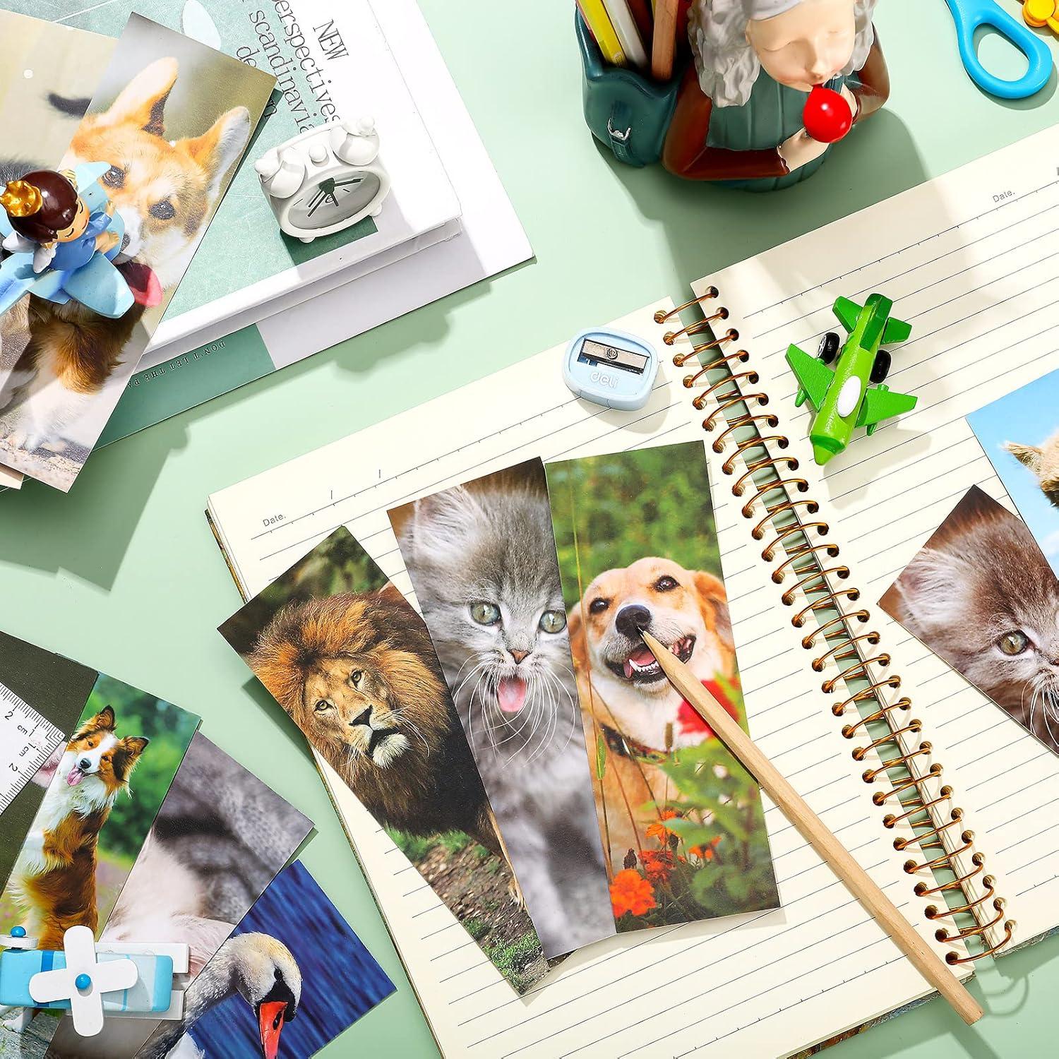 Set de 120 Marcadores Chinco para Lectura Animal Vivo