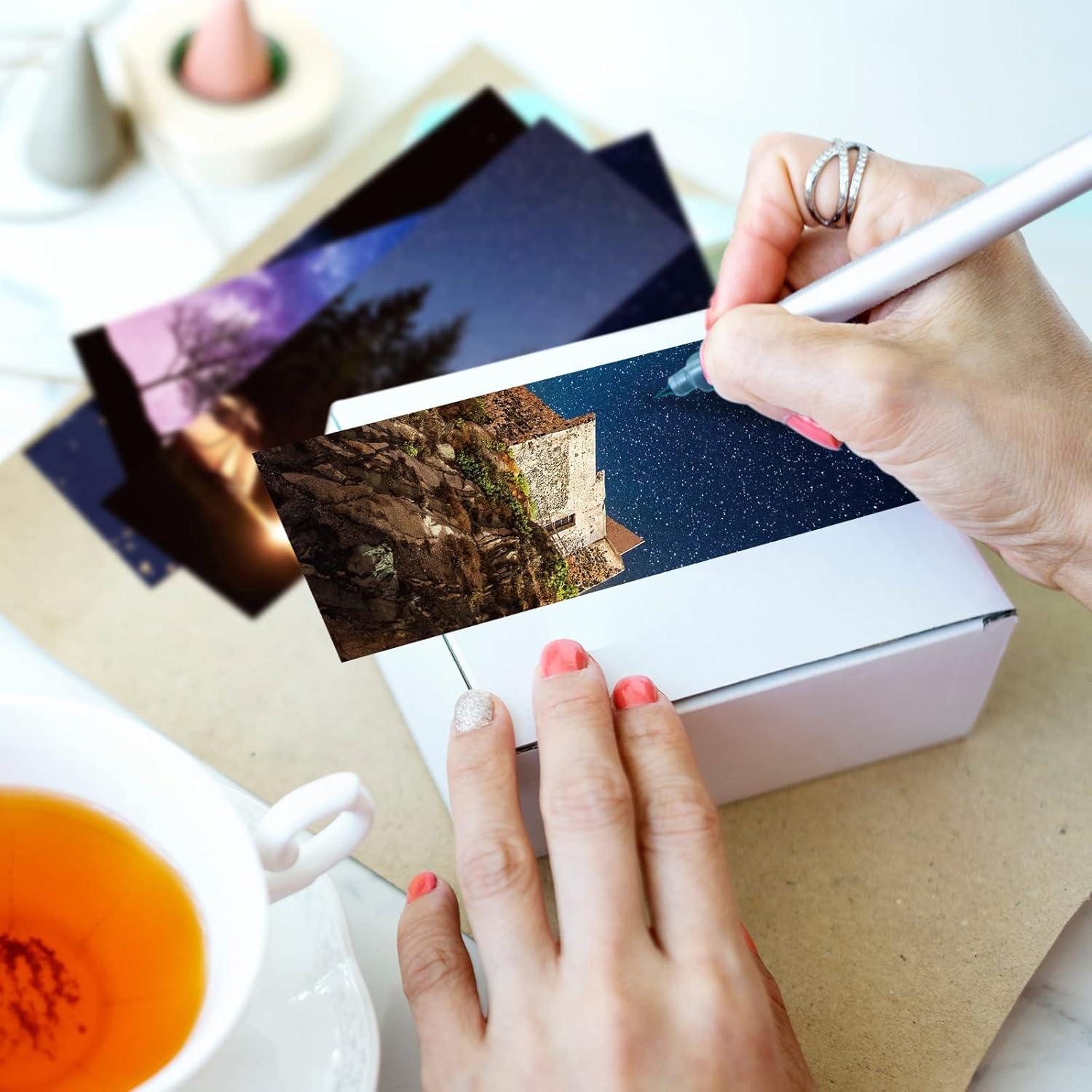 Set de 120 Marcadores Chinco para Lectura Animal Vivo