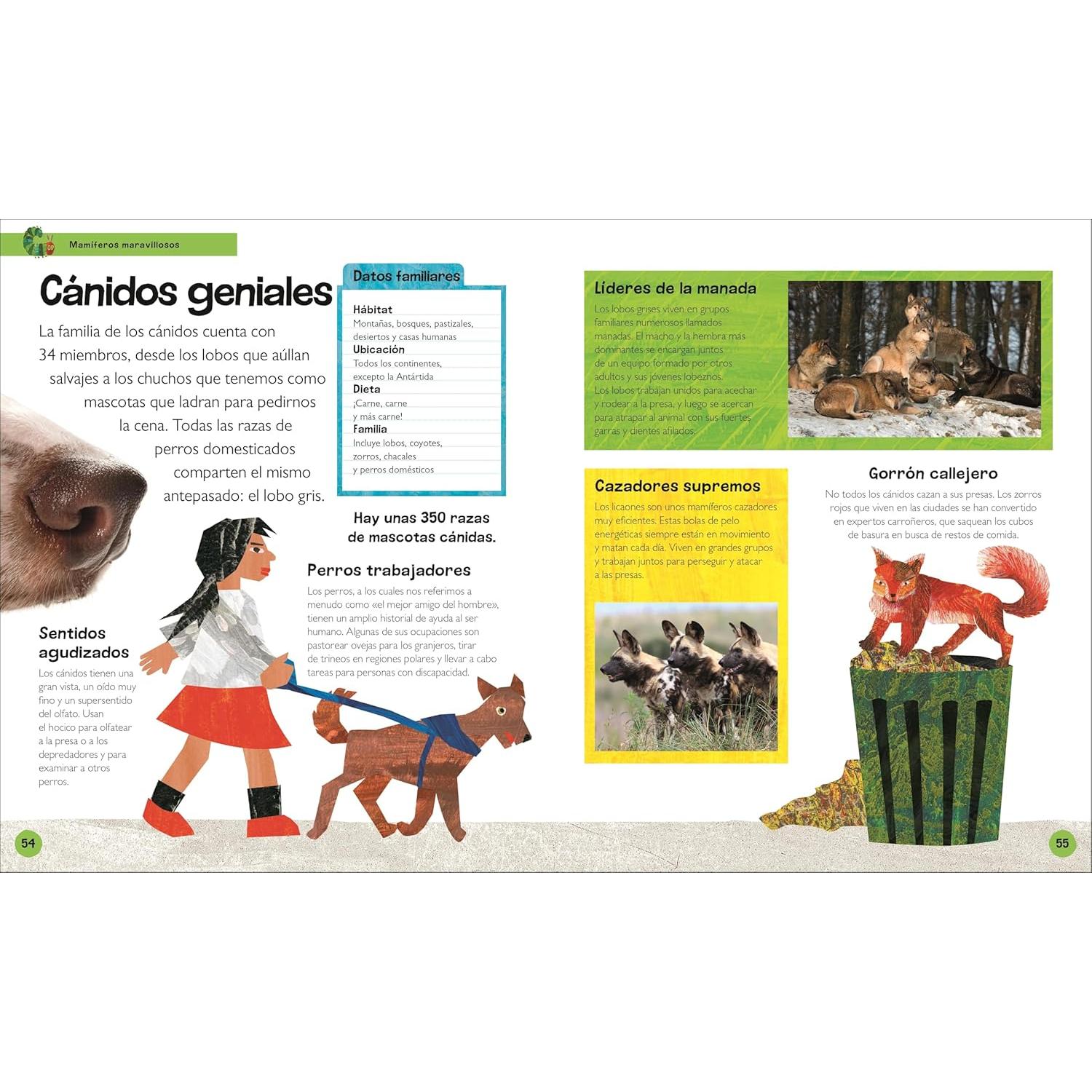 La oruga muy hambrienta Mi primera enciclopedia de animales (The Very Hungry Caterpillar's Very First Animal Encyclopedia) (The Very Hungry Caterpillar Encyclopedias) (Spanish Edition)