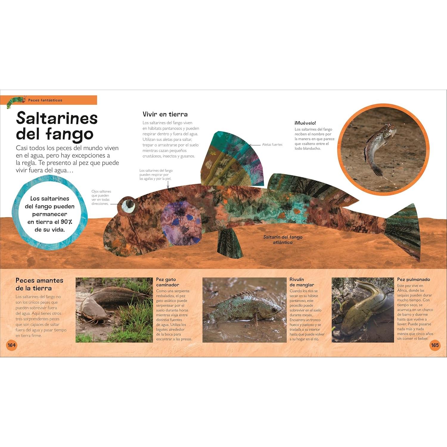 La oruga muy hambrienta Mi primera enciclopedia de animales (The Very Hungry Caterpillar's Very First Animal Encyclopedia) (The Very Hungry Caterpillar Encyclopedias) (Spanish Edition)