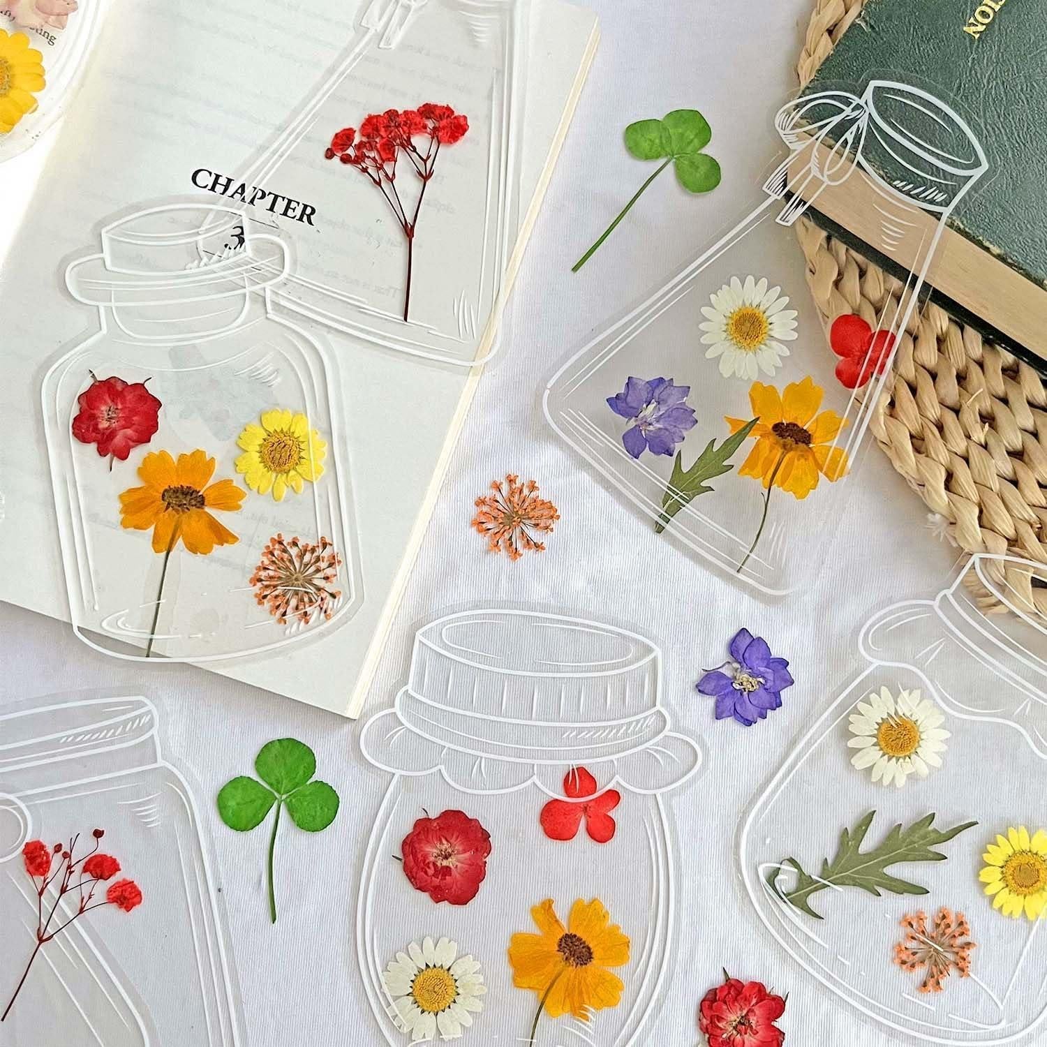 Kit de Marcadores Transparentes DIY Krinisou 20pcs Instrucciones