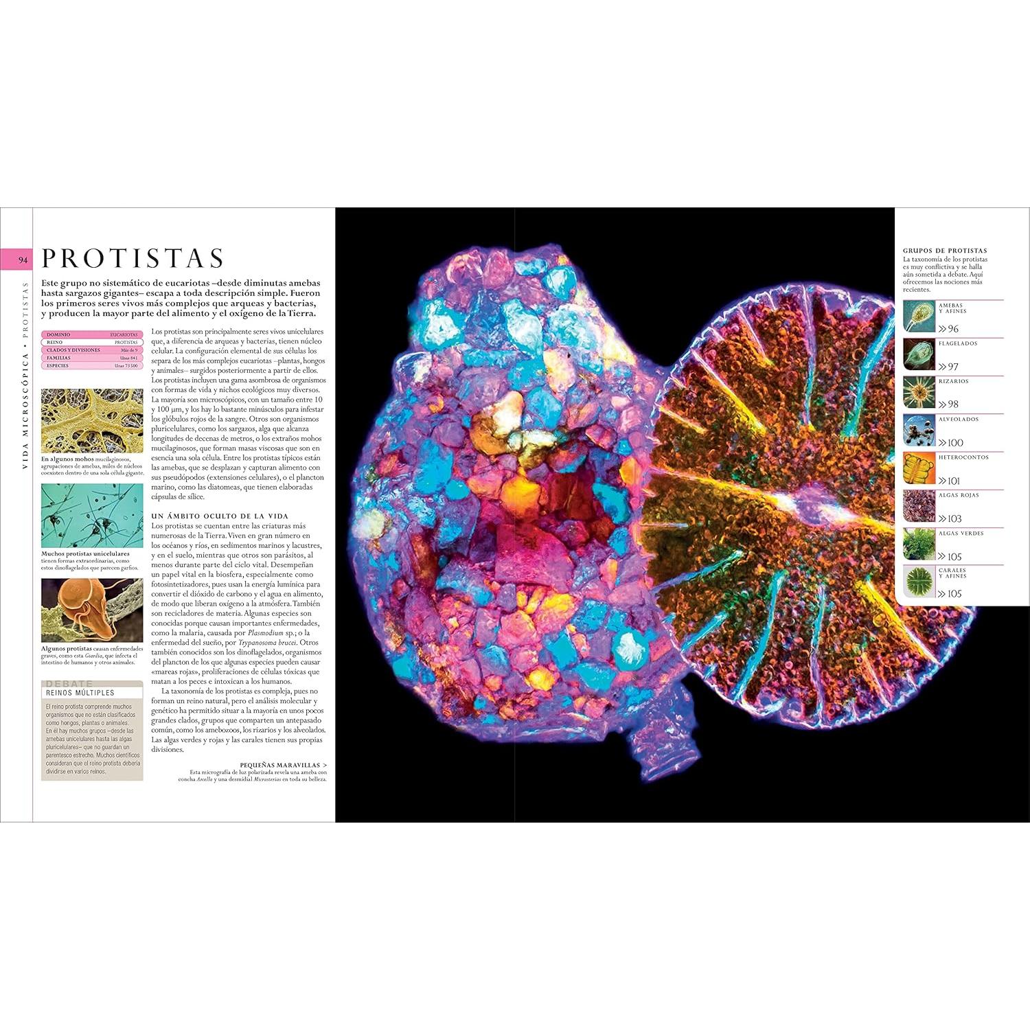El libro de la naturaleza (Natural History): Enciclopedia del mundo natural en imágenes (DK Definitive Visual Encyclopedias) (Spanish Edition)