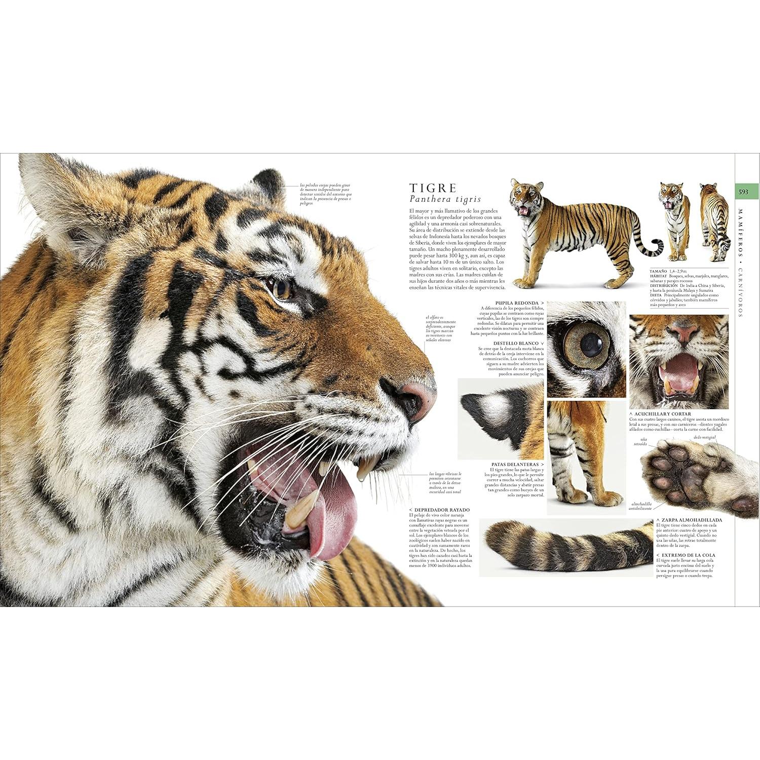 El libro de la naturaleza (Natural History): Enciclopedia del mundo natural en imágenes (DK Definitive Visual Encyclopedias) (Spanish Edition)