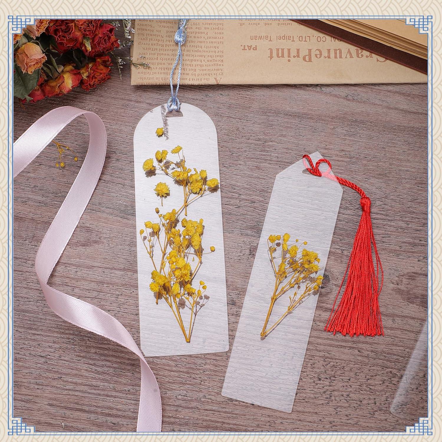 Kits de Marcadores Acrílicos WSICSE 49 Piezas DIY con Borlas