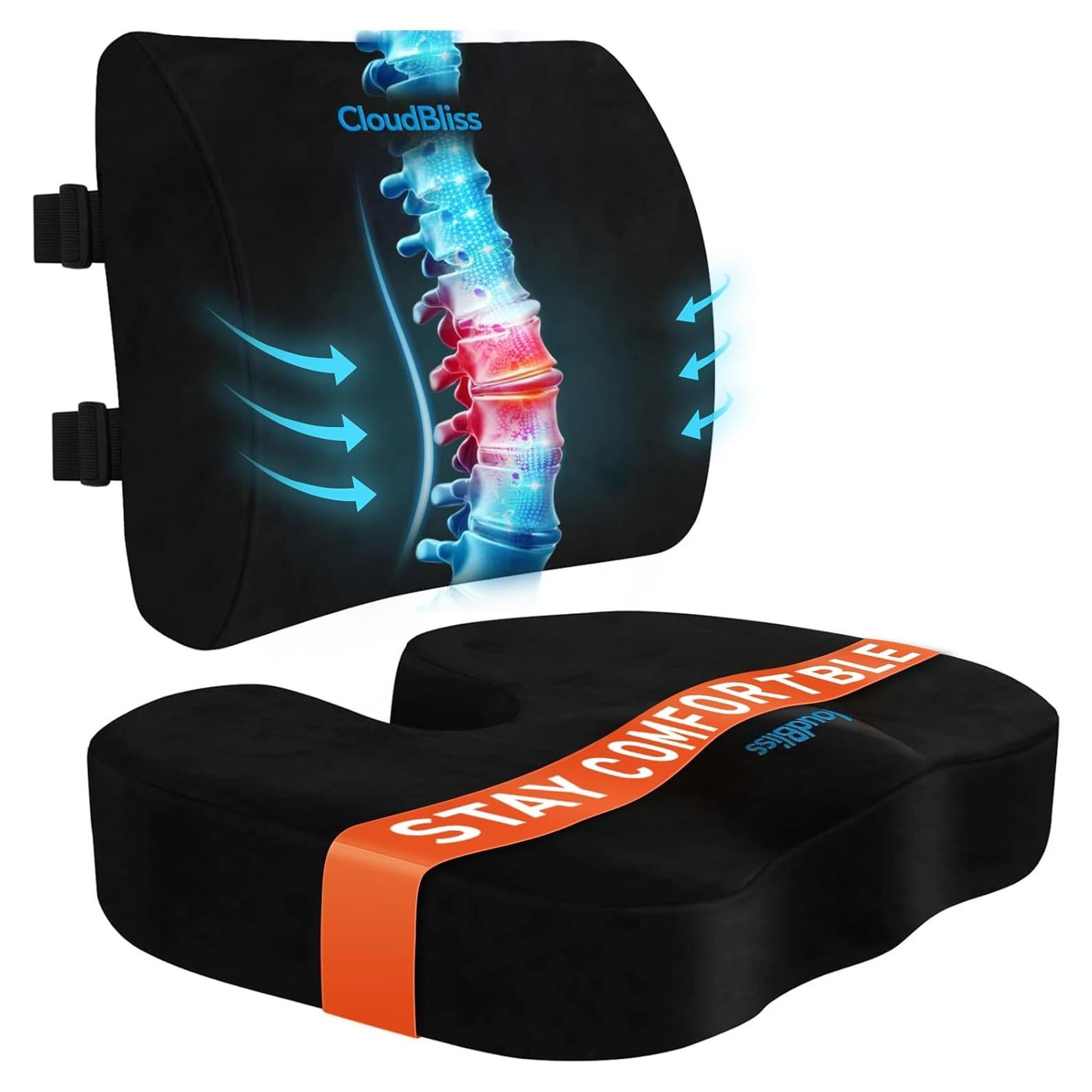 Cojín de Asiento y Almohada Lumbar CloudBliss Negro