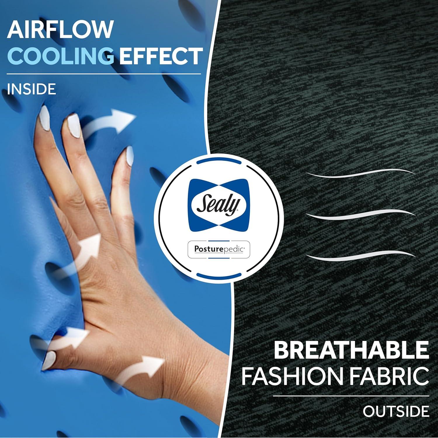 Cojín Viscoelástico Sealy SL11088 para Sillas de Coche y Oficina