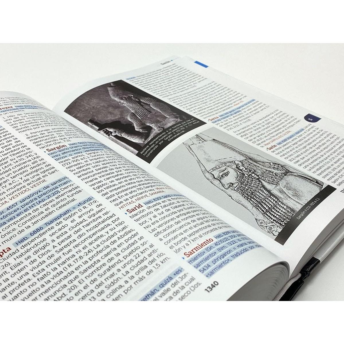 Diccionario enciclopédico bíblico ilustrado CLIE (Spanish Edition)