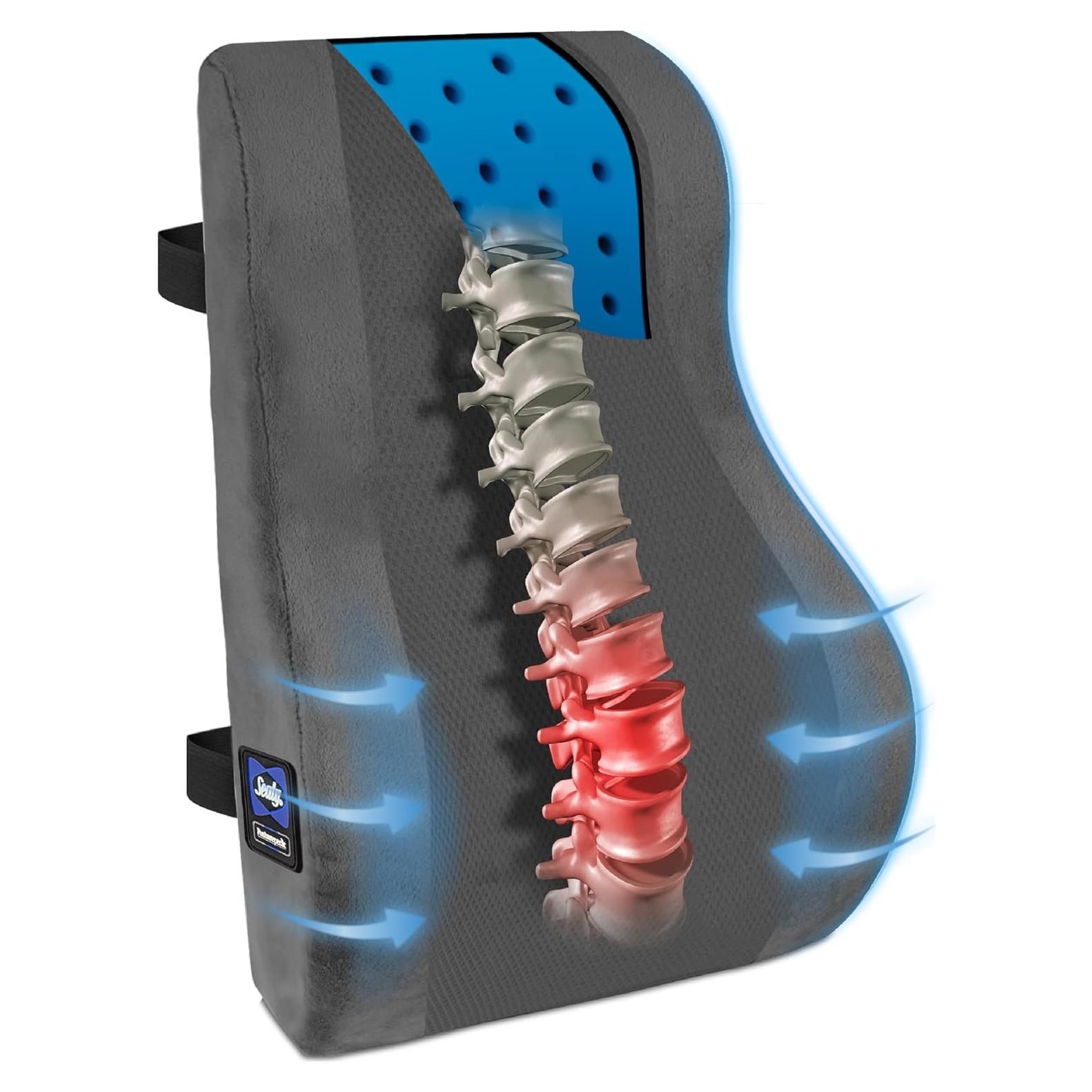 Almohada Lumbar Sealy SL11091 Espuma con Memoria Gris