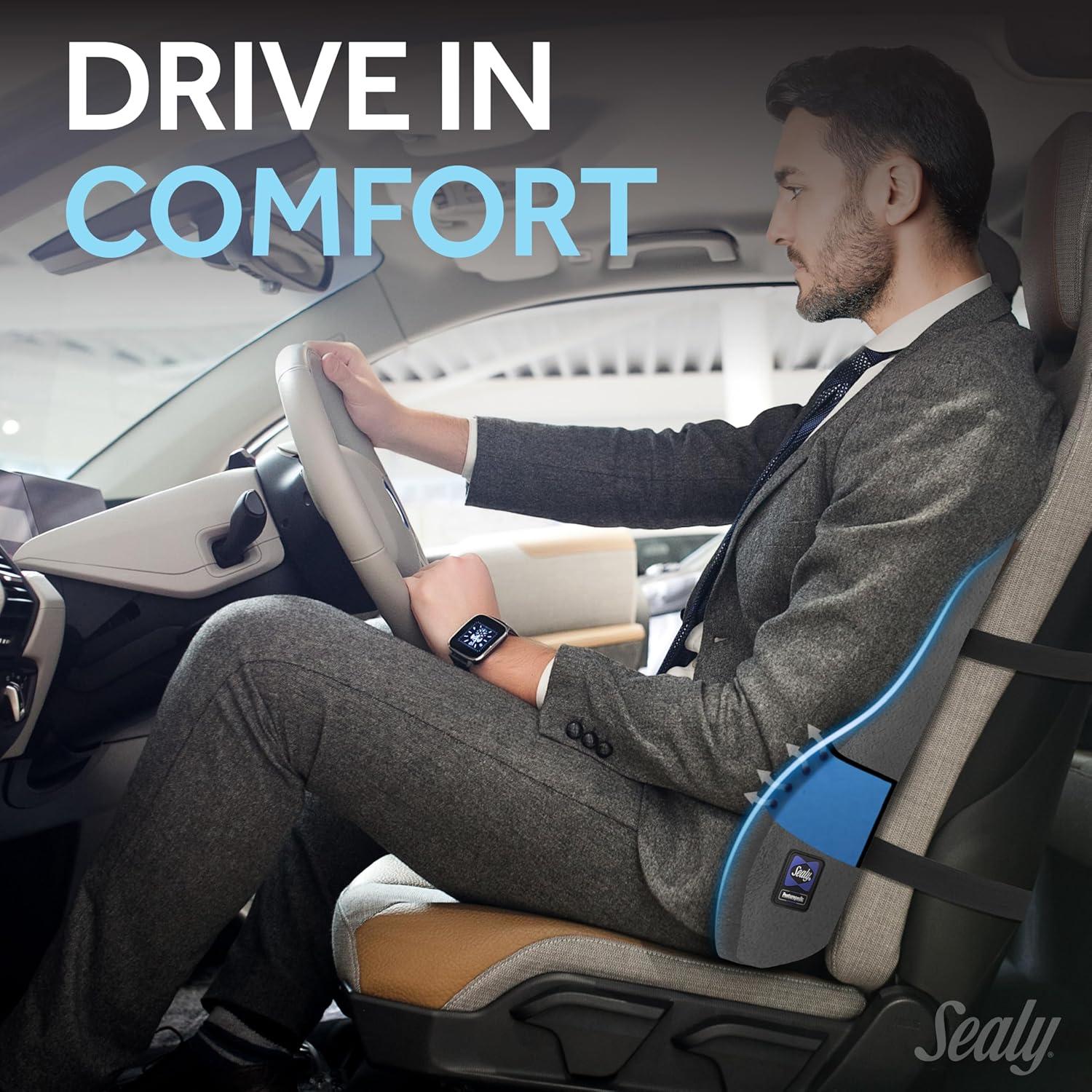 Almohada Lumbar Sealy SL11091 Espuma con Memoria Gris