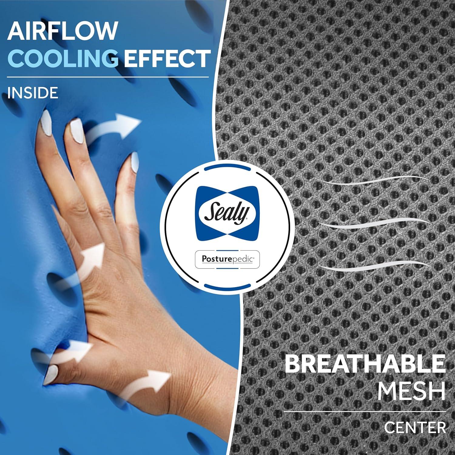 Almohada Lumbar Sealy SL11091 Espuma con Memoria Gris