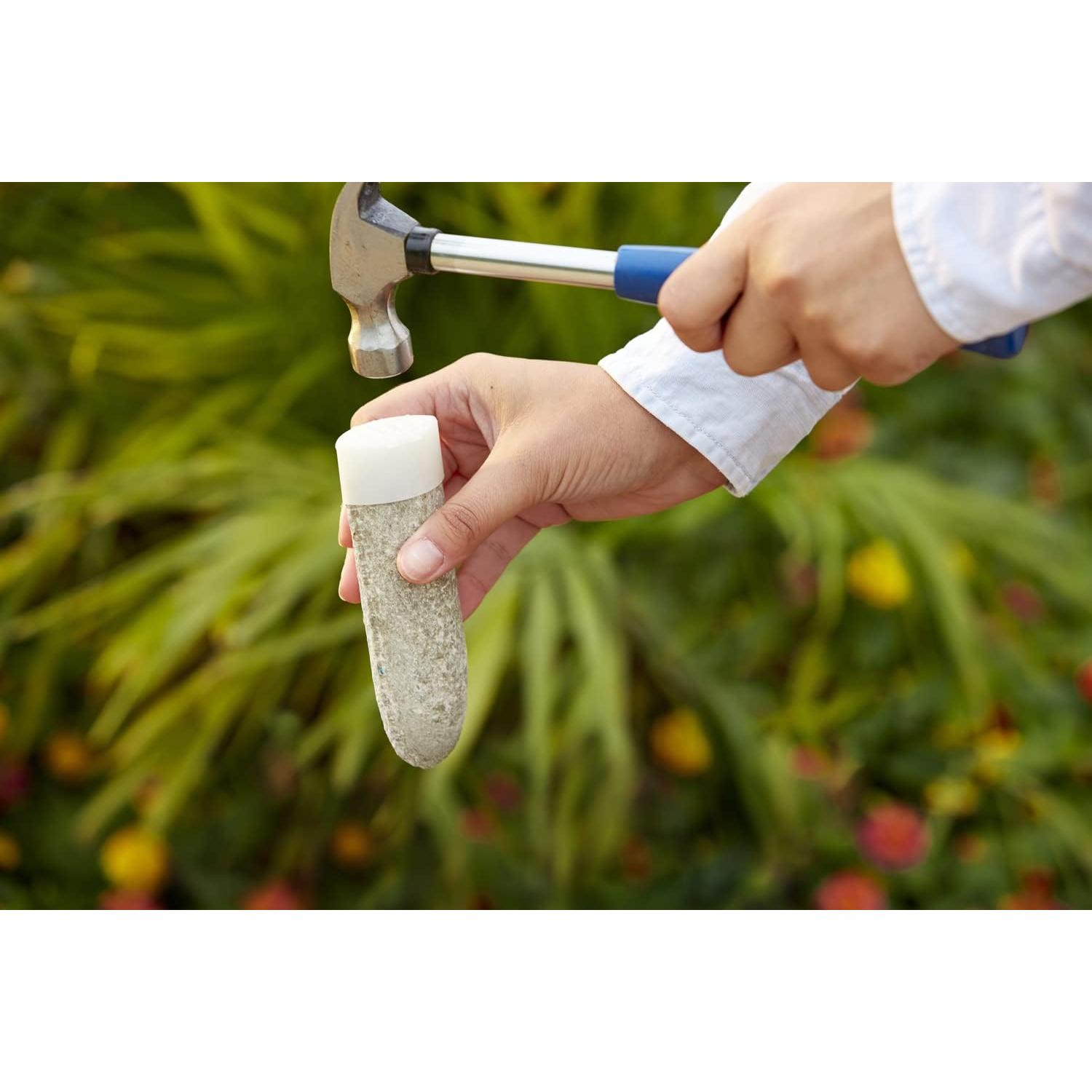 Picos de Alimento para Plantas Miracle-Gro Frutas y Cítricos 2 Paquete